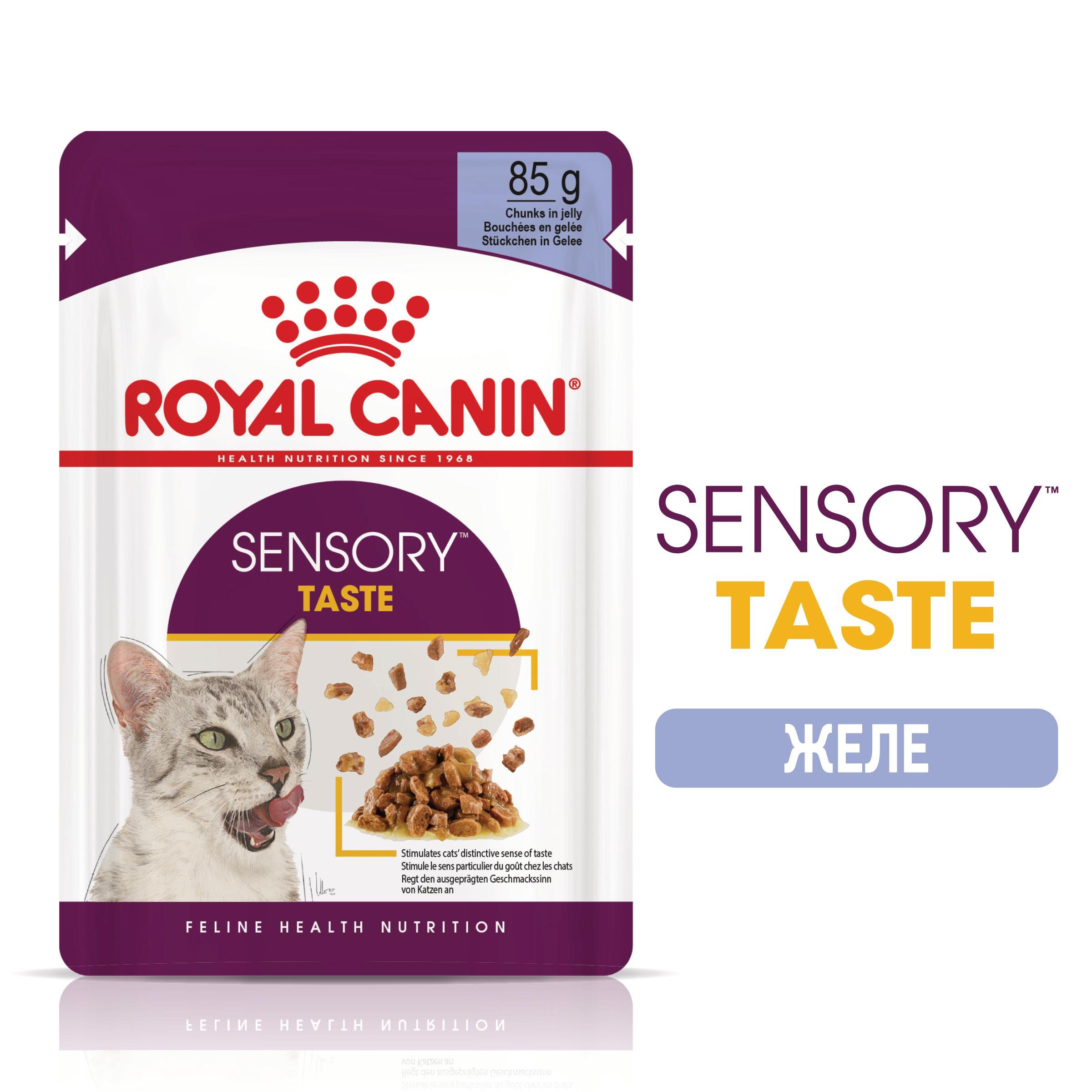ROYAL CANIN® FHN SENSORY TASTE snacks in jelly 85g - изображение 1