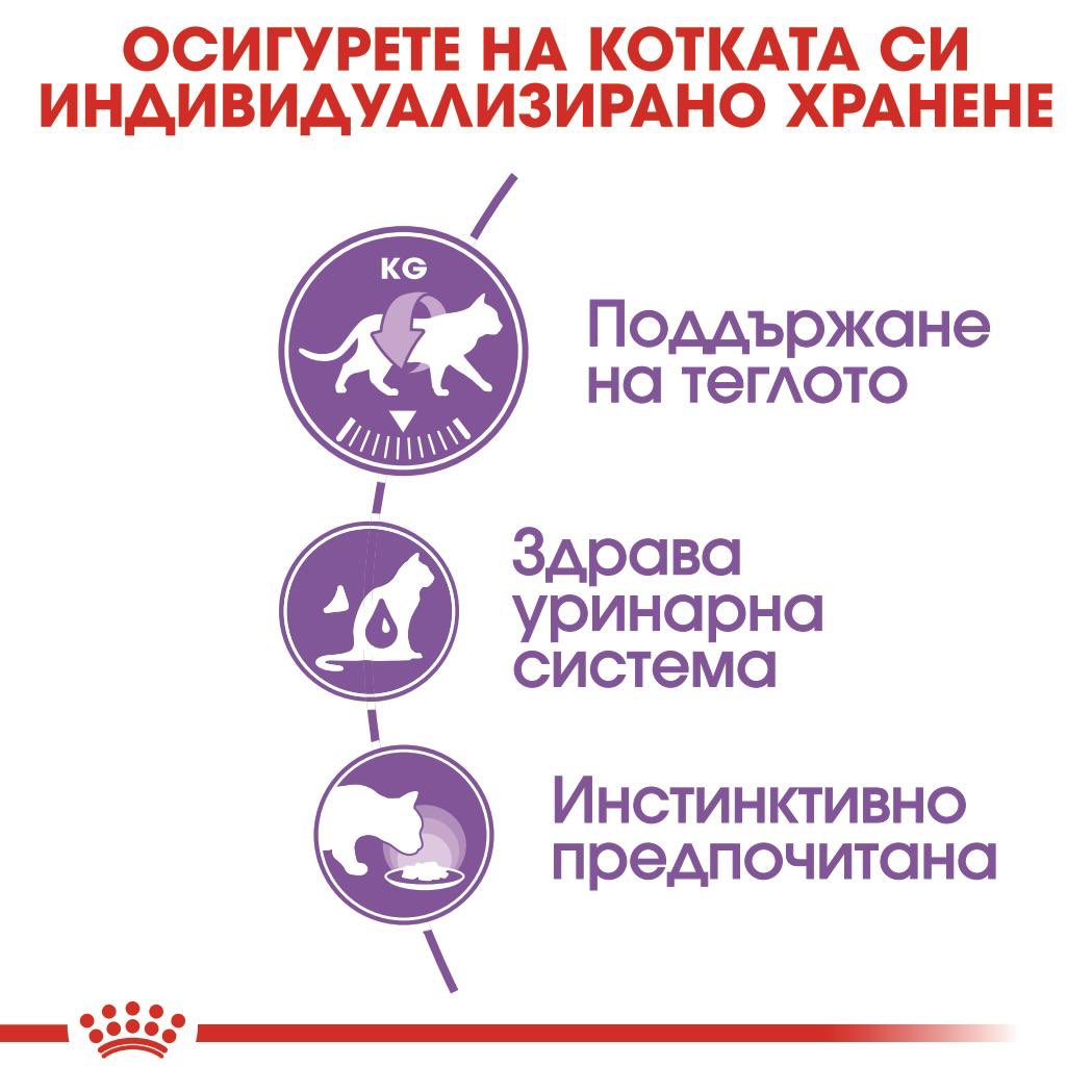 ROYAL CANIN® FHN STERILIZED 85g sachets - изображение 3