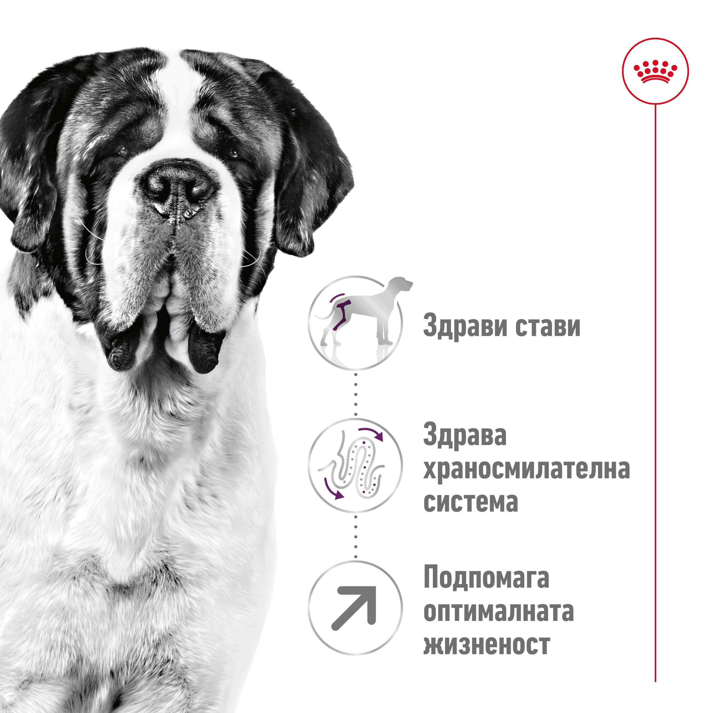 ROYAL CANIN® SHN GIANT ADULT 15kg - изображение 9