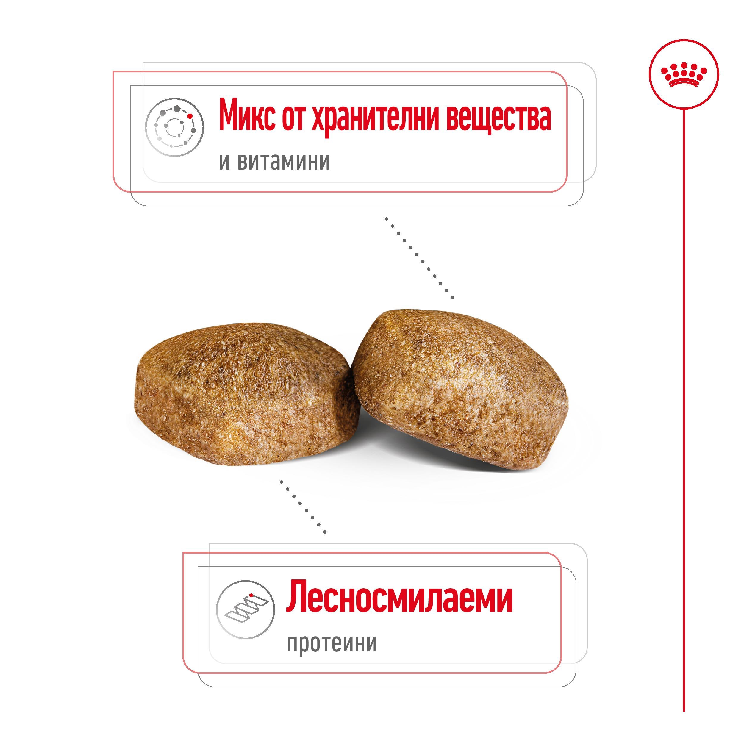 ROYAL CANIN® SHN GIANT ADULT 15kg - изображение 8