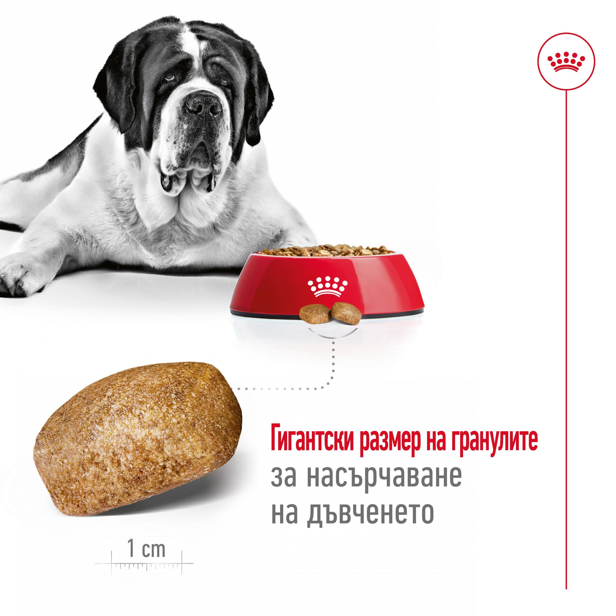 ROYAL CANIN® SHN GIANT ADULT 15kg - изображение 7