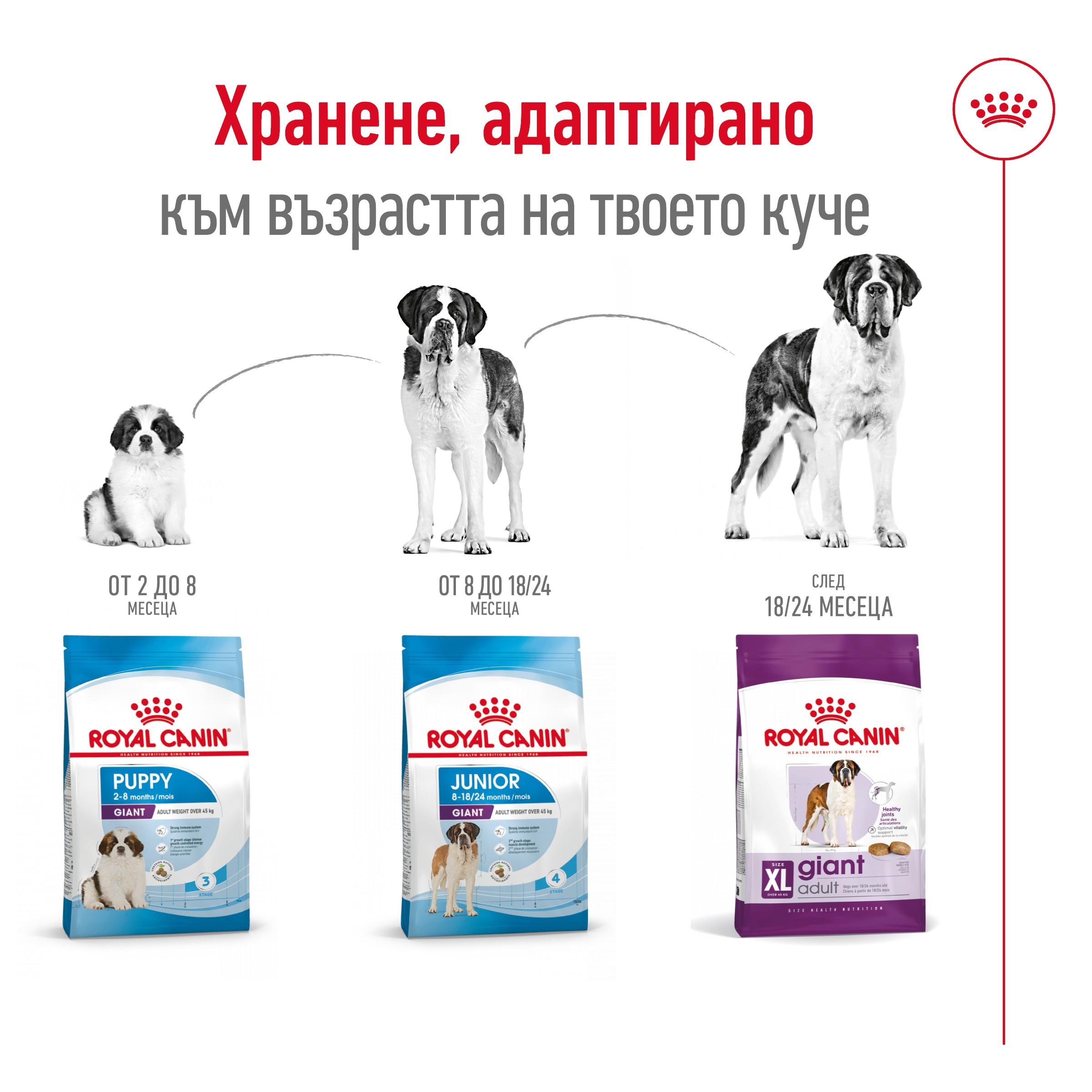ROYAL CANIN® SHN GIANT ADULT 15kg - изображение 6