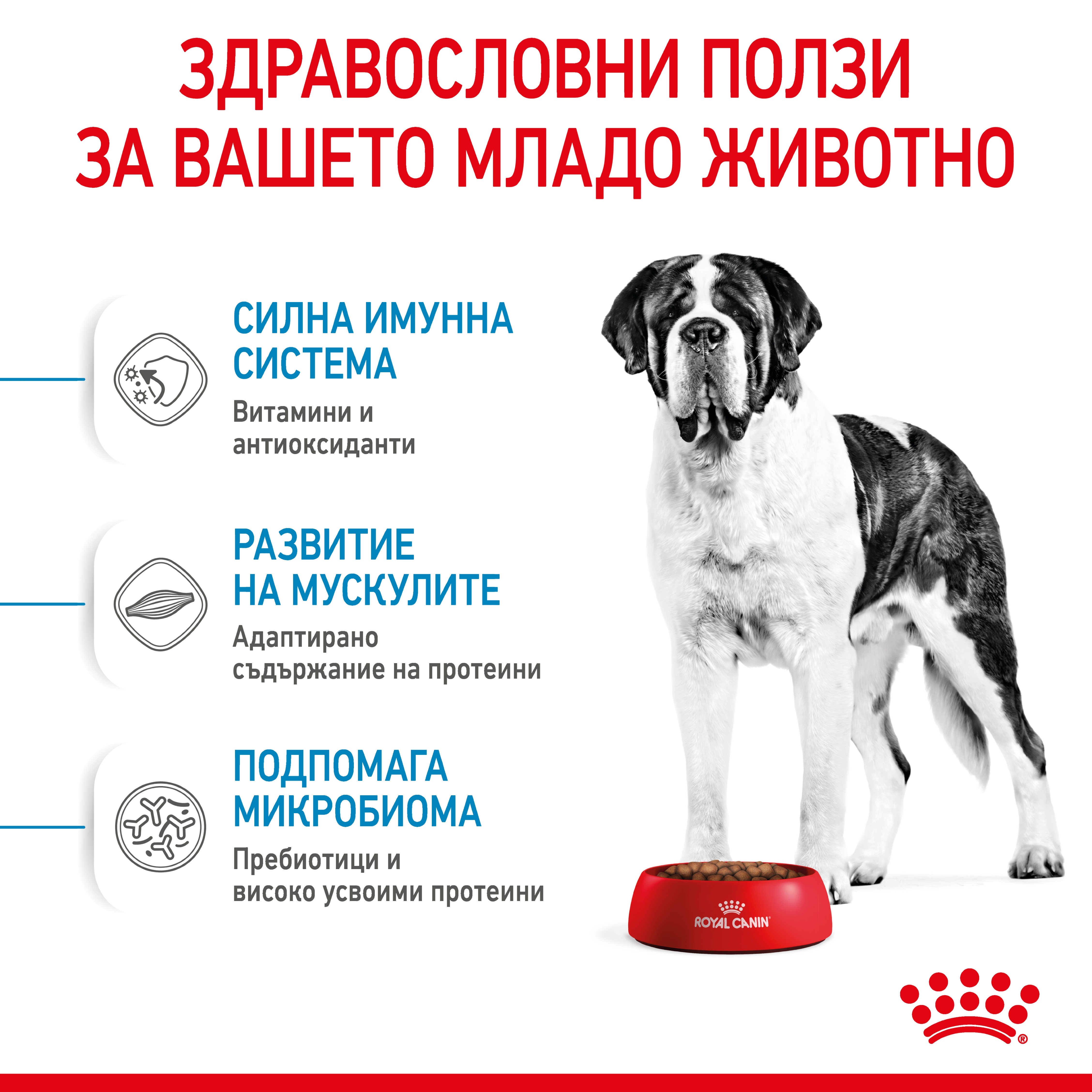 ROYAL CANIN® SHN GIANT JUNIOR 3.5kg - изображение 8