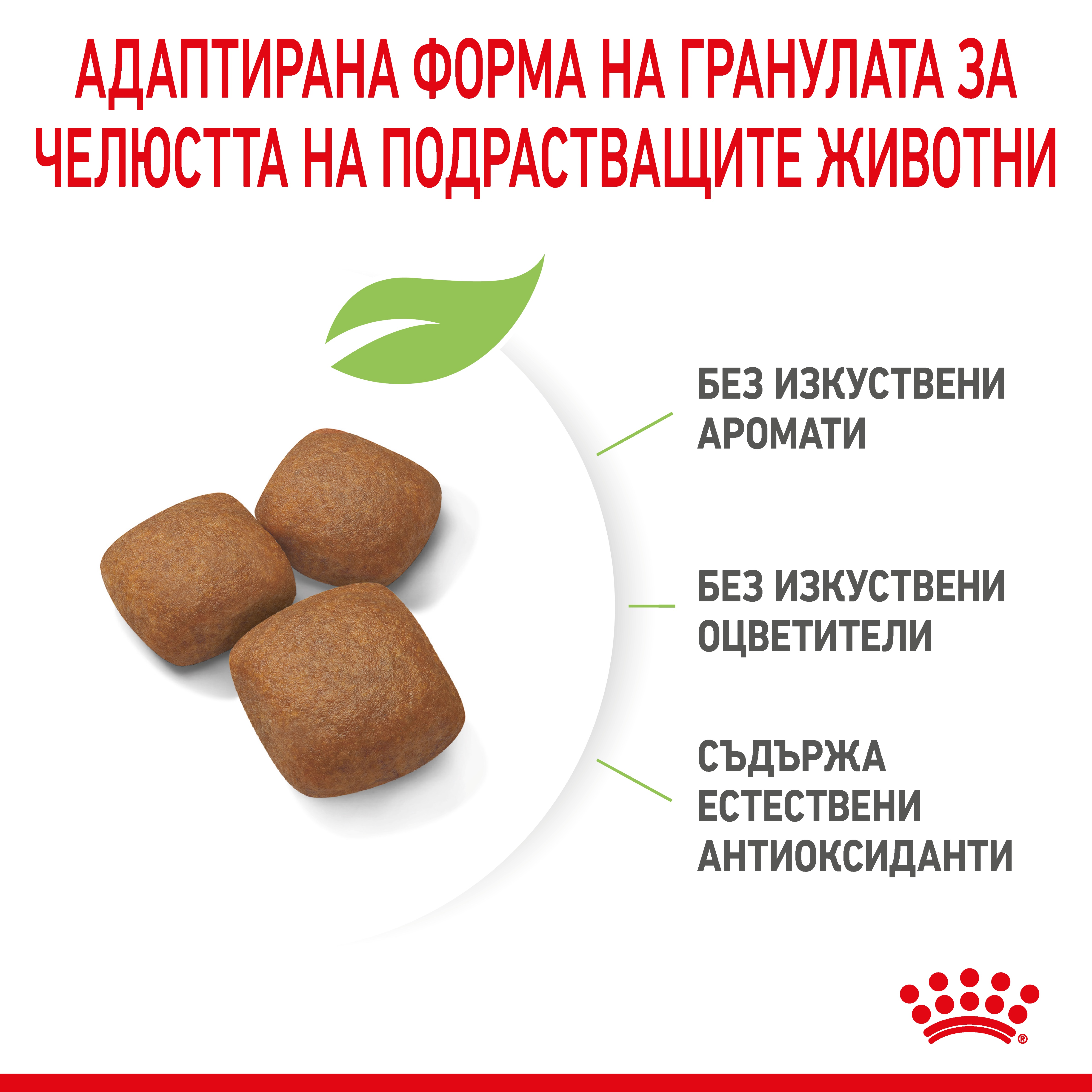 ROYAL CANIN® SHN GIANT JUNIOR 3.5kg - изображение 7