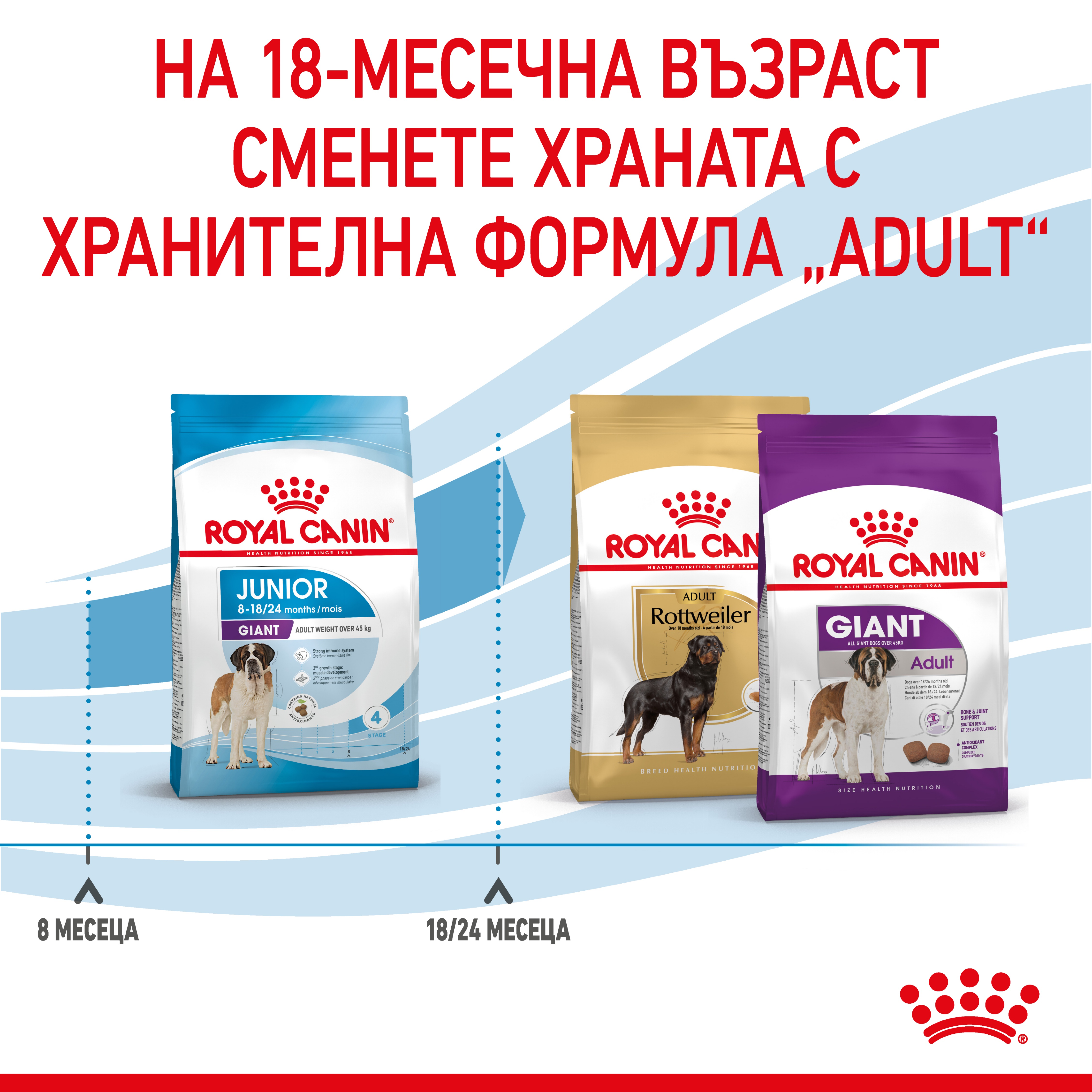 ROYAL CANIN® SHN GIANT JUNIOR 3.5kg - изображение 6