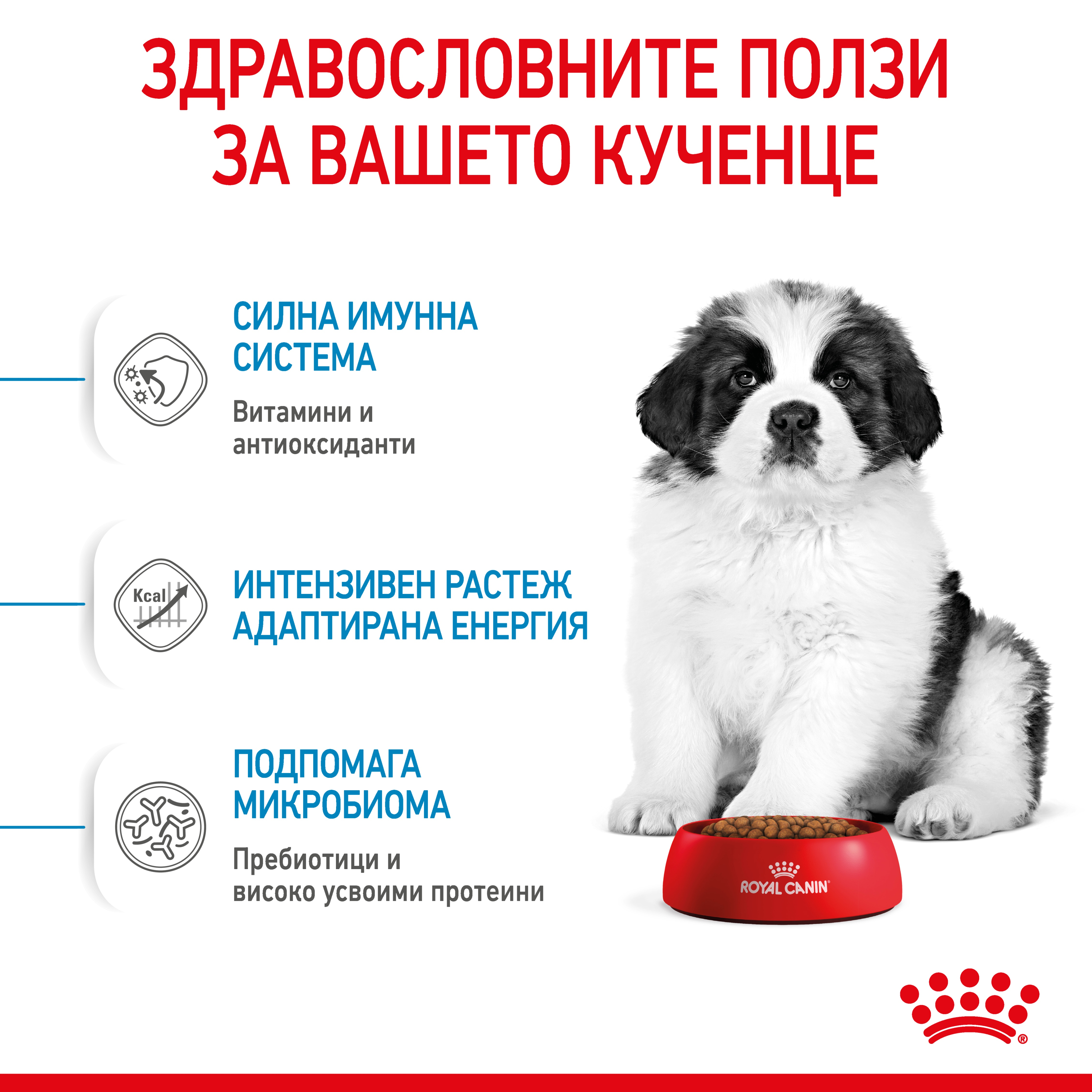 ROYAL CANIN® SHN GIANT PUPPY 3.5 kg - изображение 5