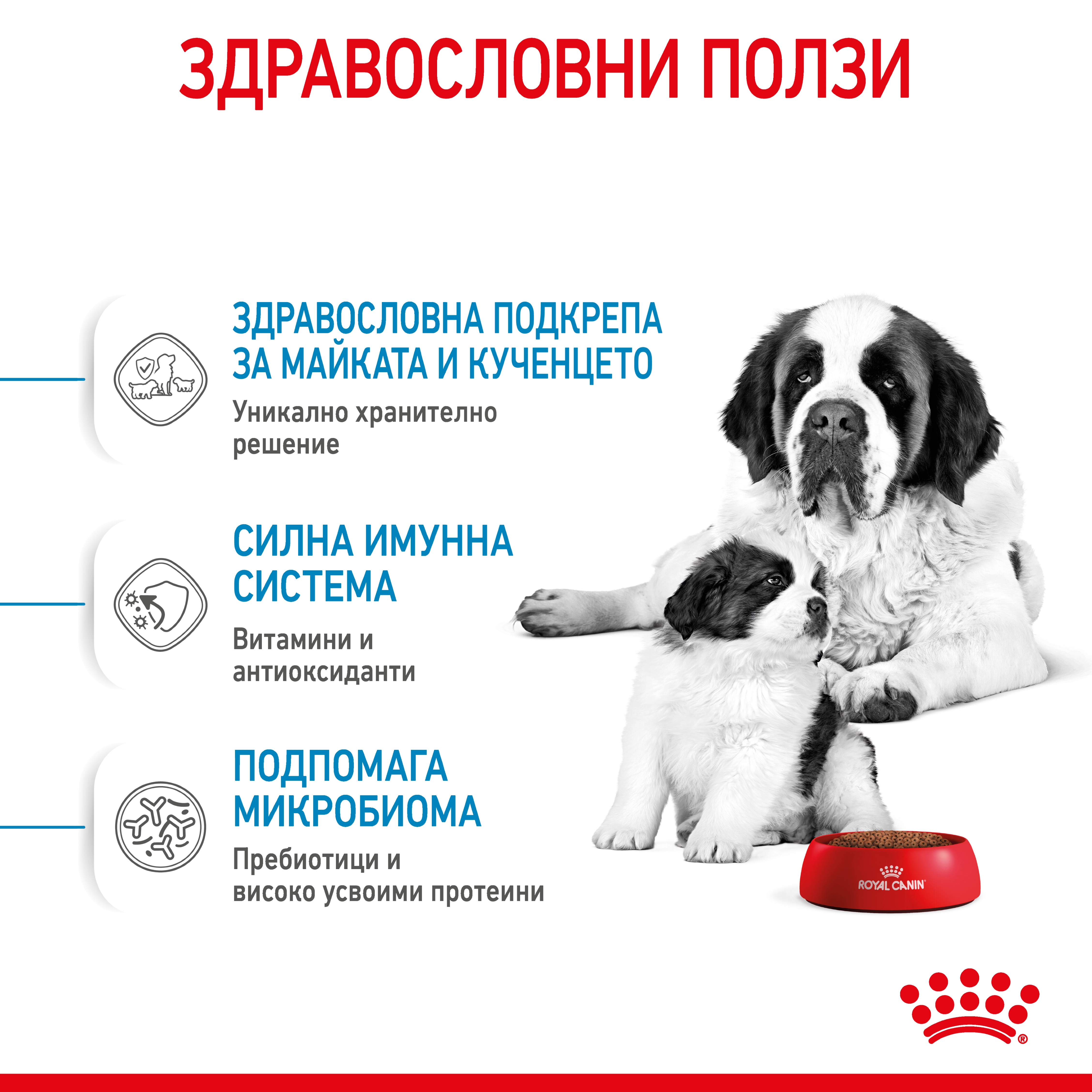 ROYAL CANIN® SHN GIANT STARTER 15kg - изображение 6