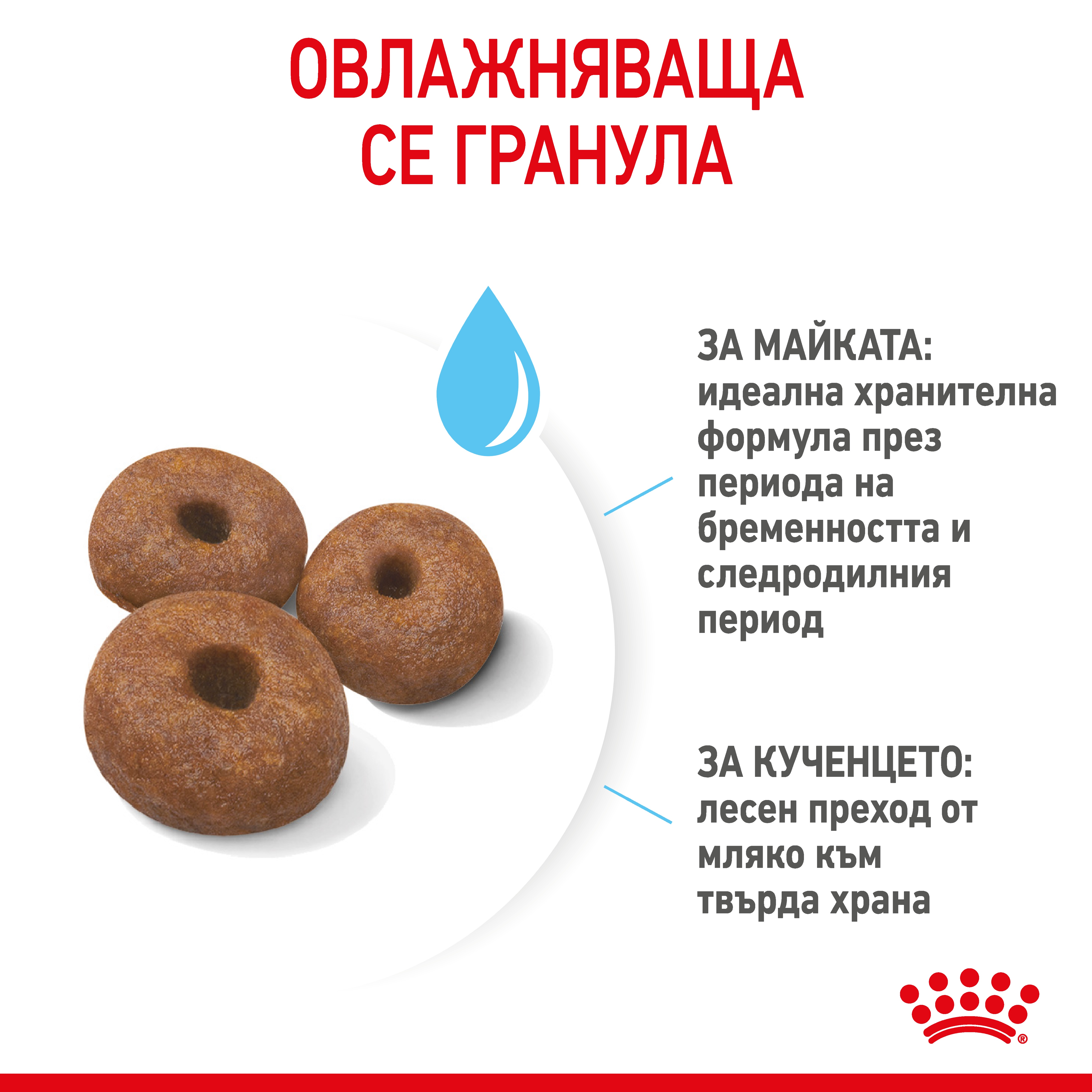 ROYAL CANIN® SHN GIANT STARTER 15kg - изображение 5