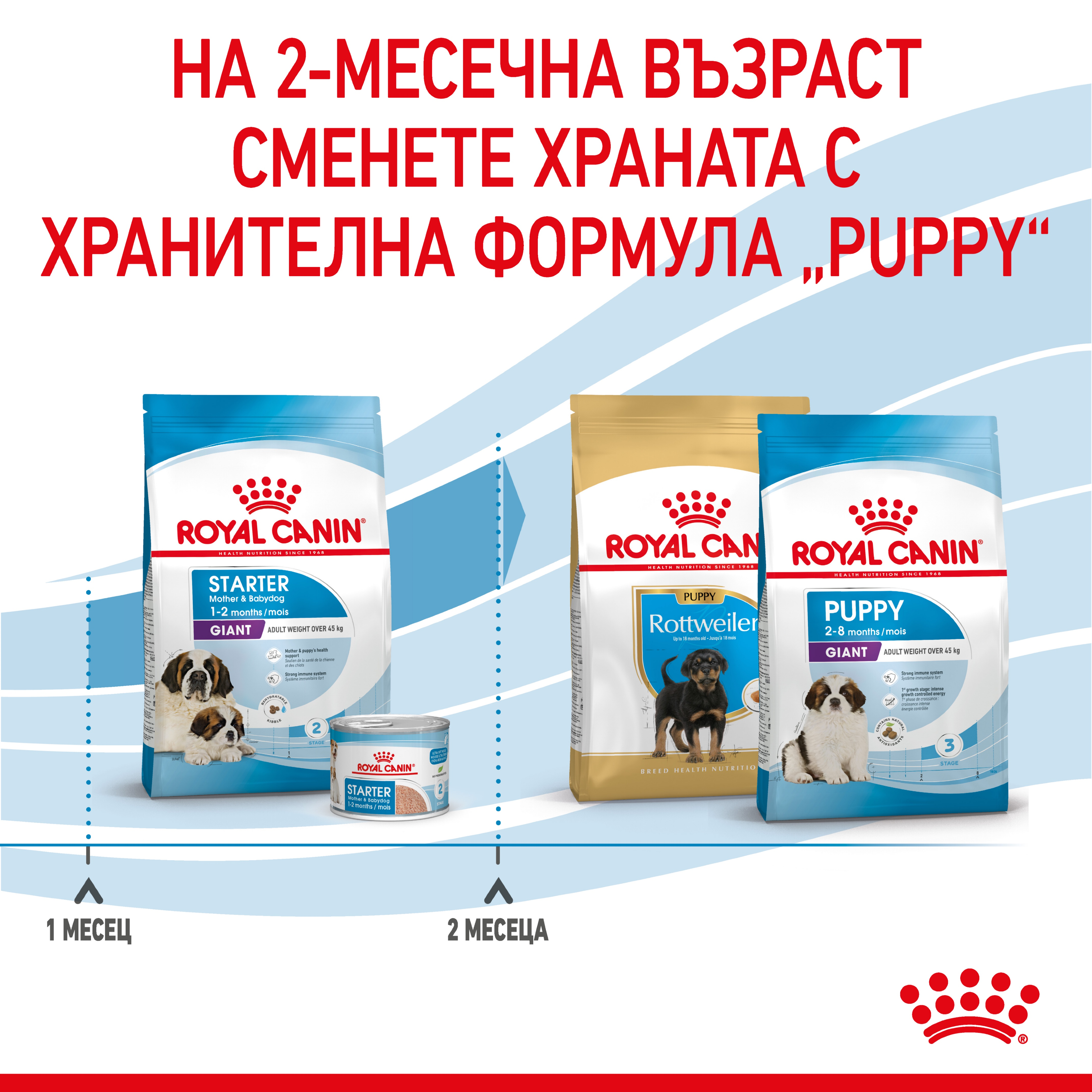 ROYAL CANIN® SHN GIANT STARTER 15kg - изображение 4