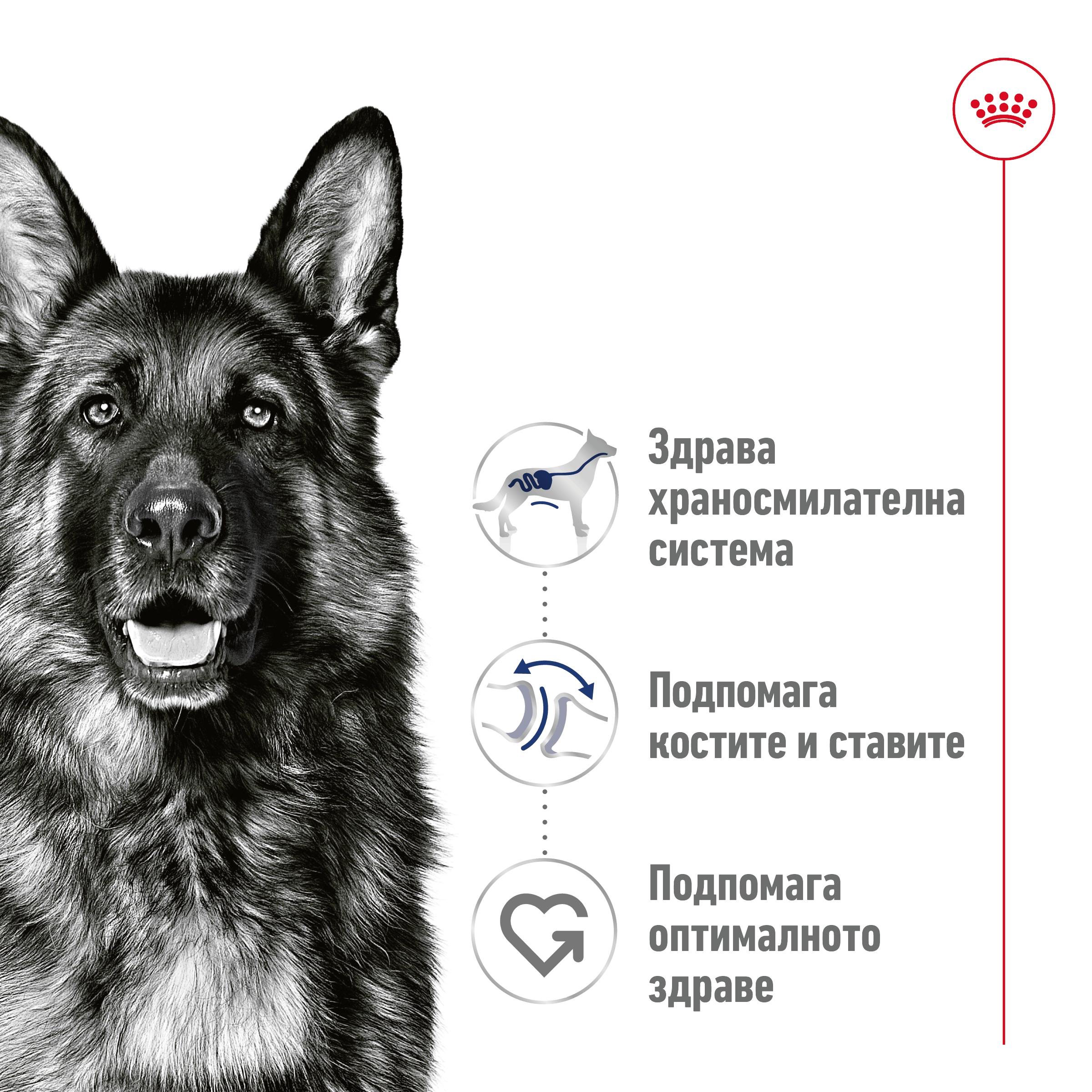 ROYAL CANIN® SHN MAXI ADULT paste 410g - изображение 4