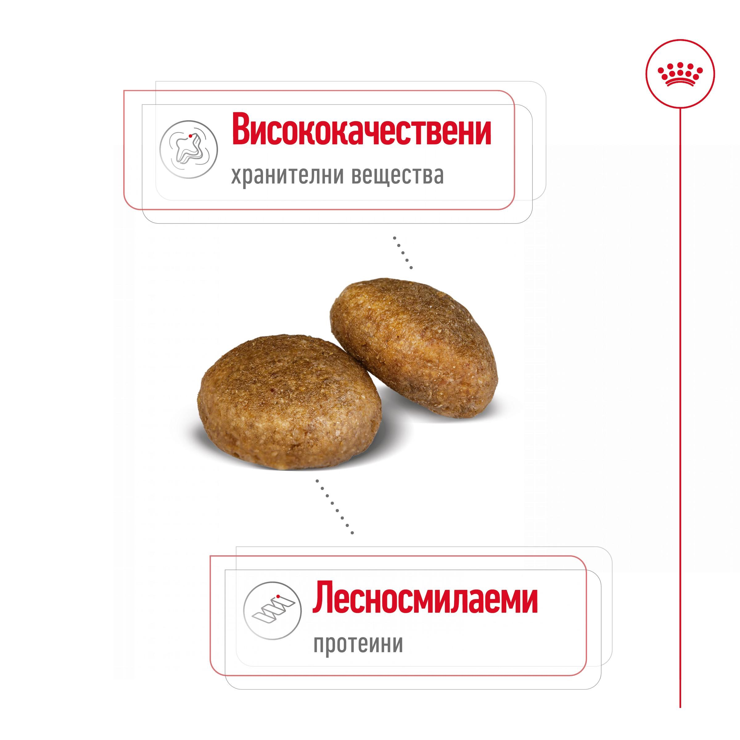 ROYAL CANIN® SHN MAXI ADULT 4kg - изображение 8
