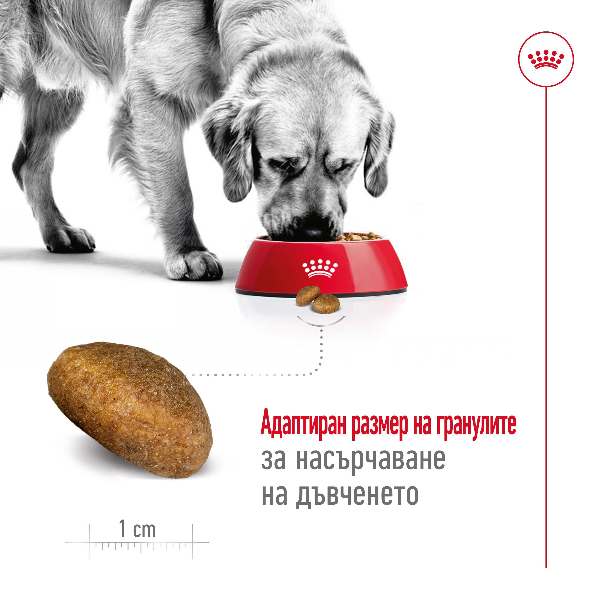 ROYAL CANIN® SHN MAXI ADULT 4kg - изображение 7