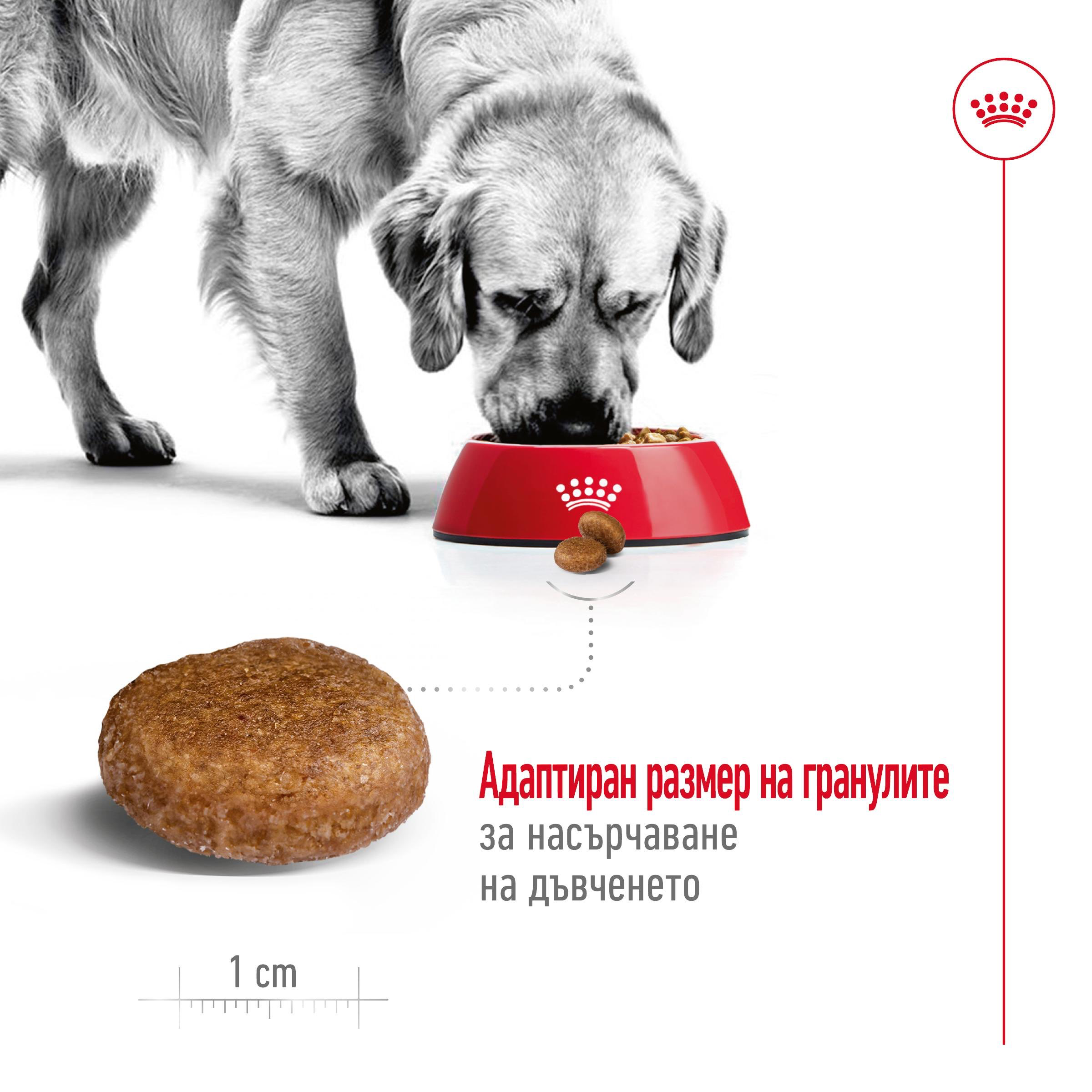 ROYAL CANIN® SHN MAXI ADULT 5+ 15 kg - изображение 6