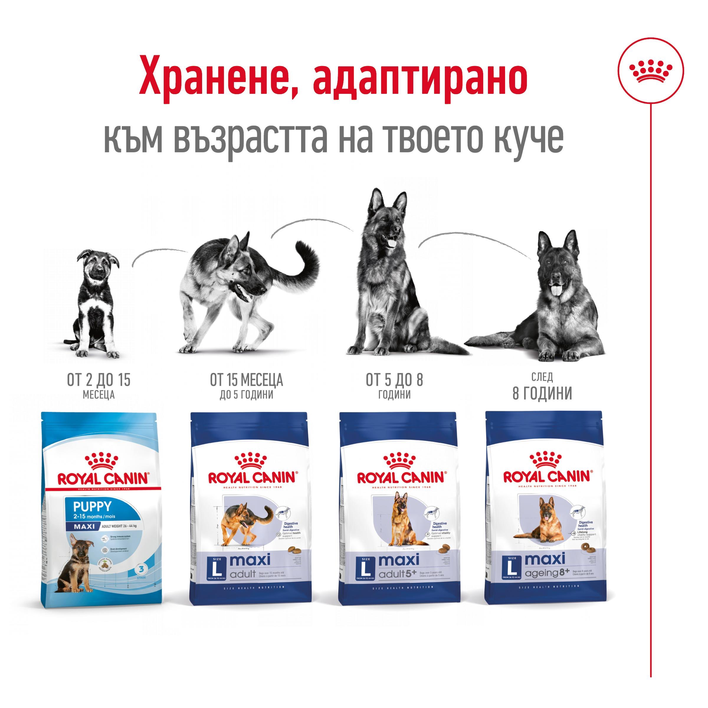 ROYAL CANIN® SHN MAXI ADULT 5+ 15 kg - изображение 5