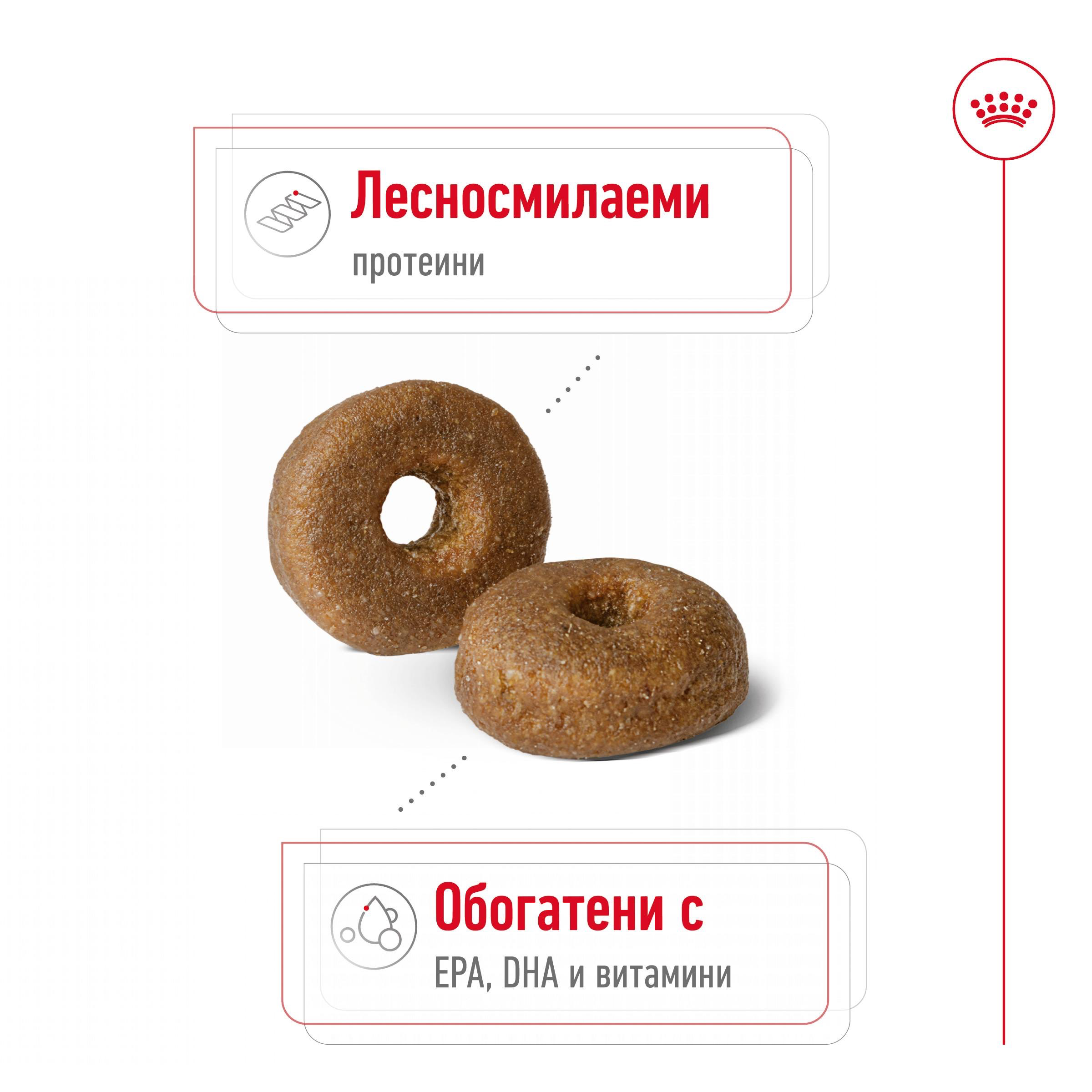 ROYAL CANIN® SHN MAXI AGEING 8+ 15кг - изображение 7