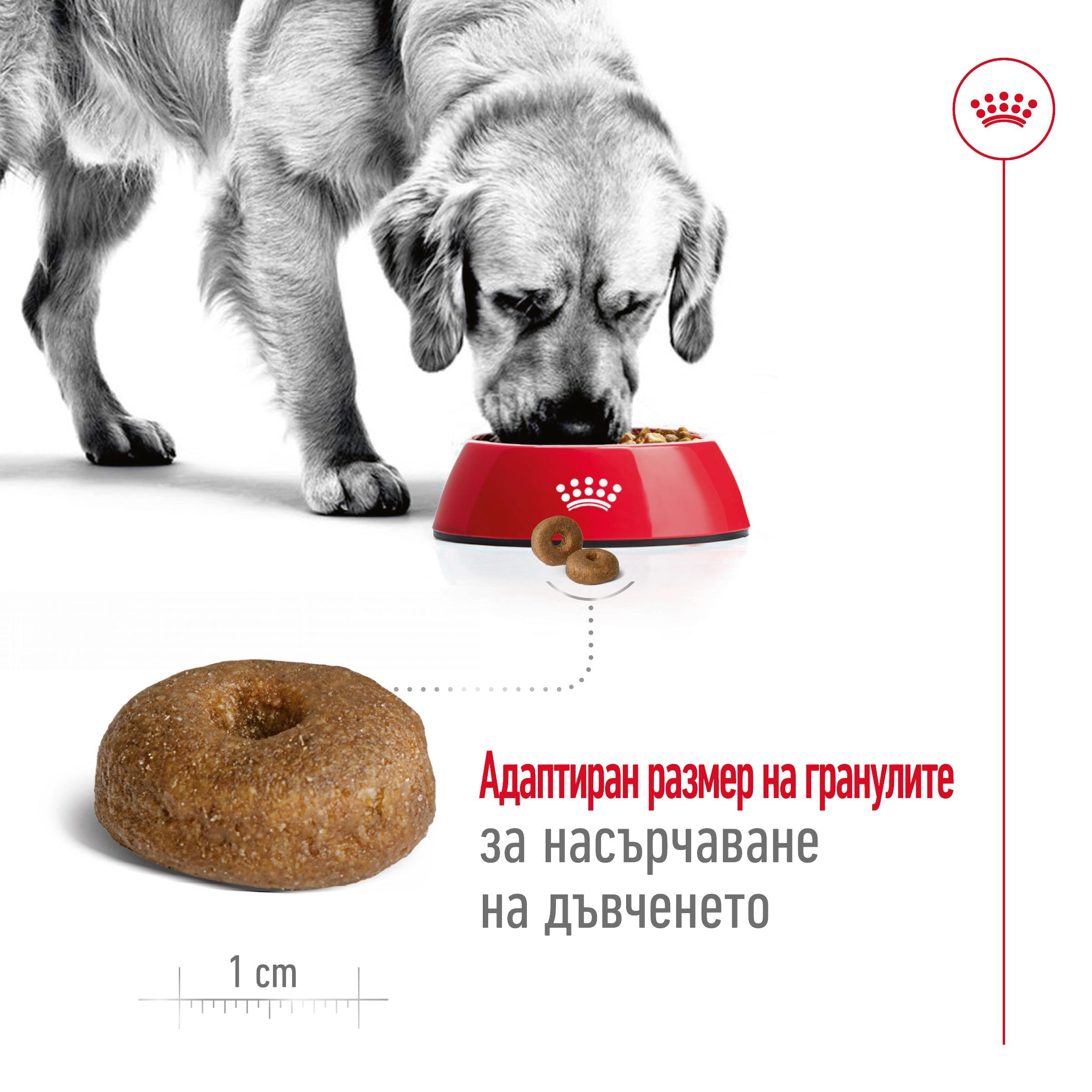 ROYAL CANIN® SHN MAXI AGEING 8+ 15кг - изображение 6