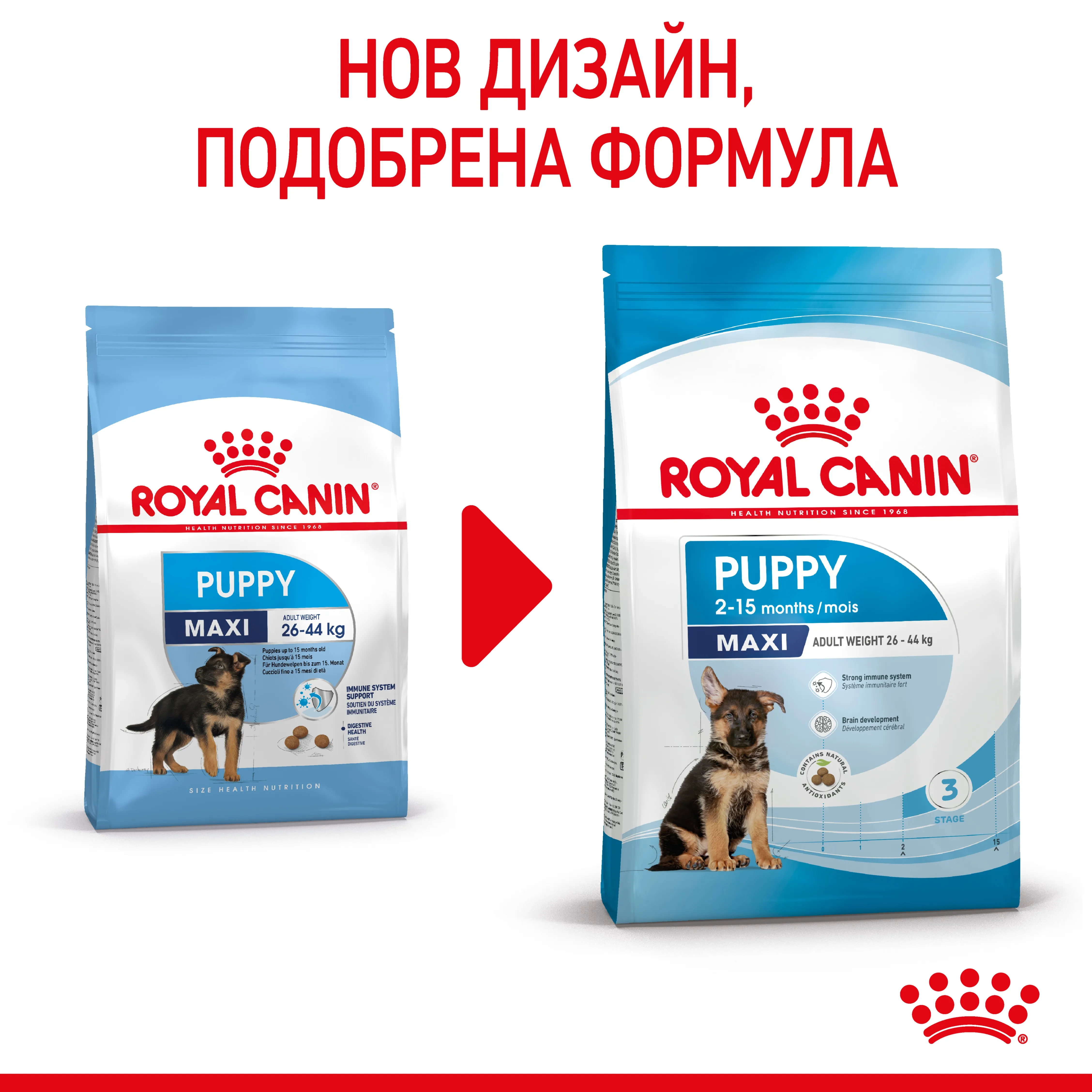 ROYAL CANIN® SHN MAXI PUPPY 10kg
