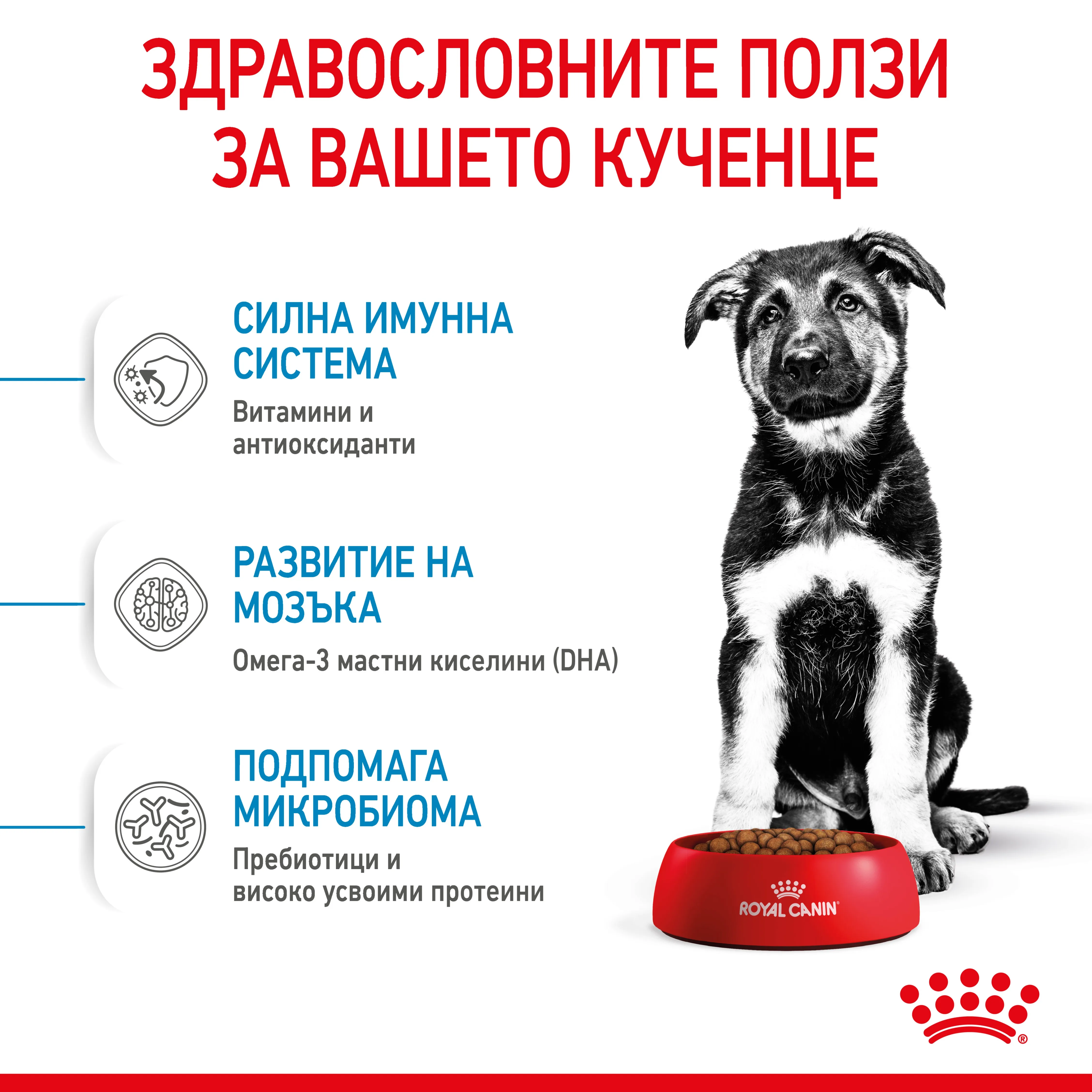 ROYAL CANIN® SHN MAXI PUPPY 10kg - изображение 1