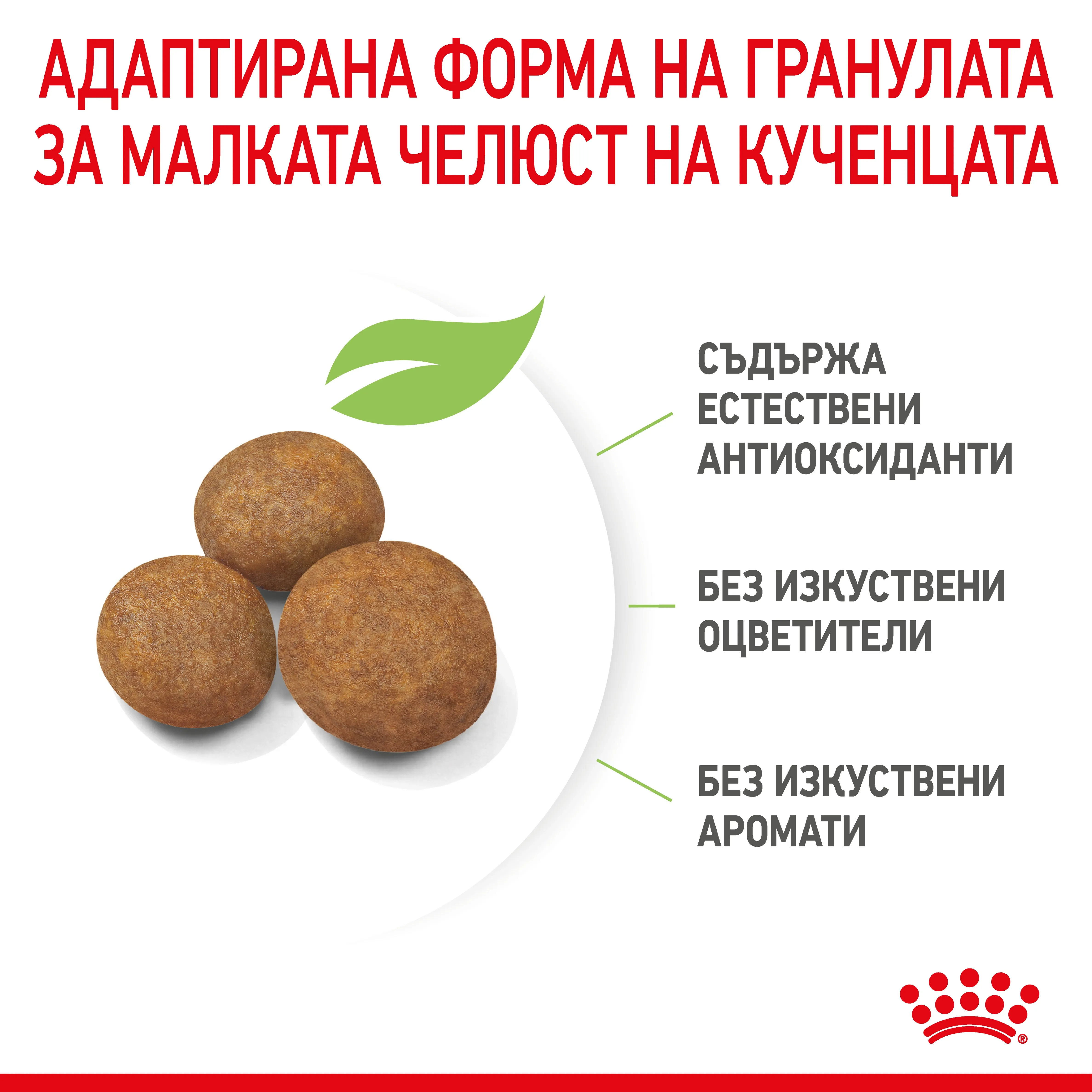 ROYAL CANIN® SHN MAXI PUPPY 10kg - изображение 2