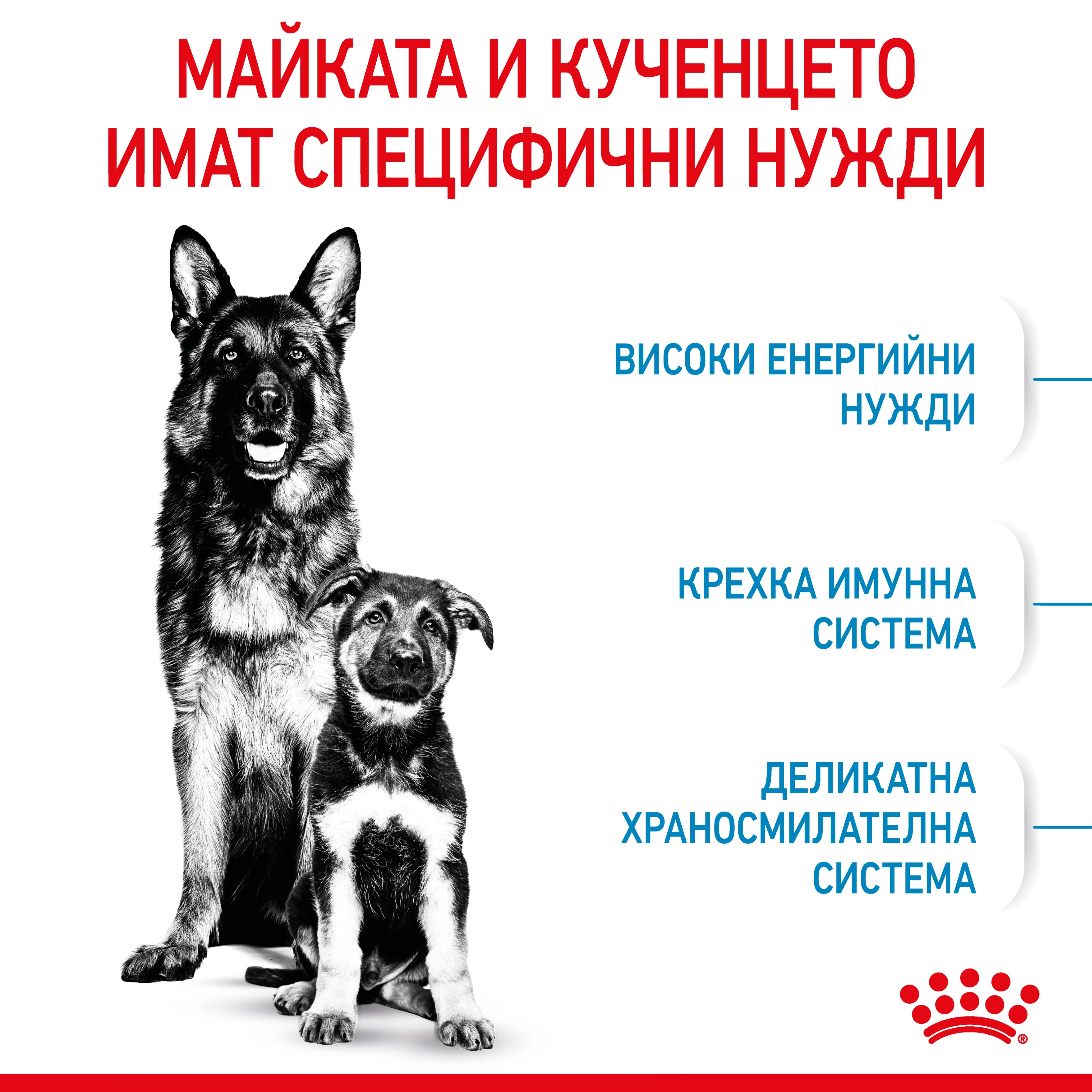 ROYAL CANIN® SHN MAXI STARTER MOTHER & BABYDOG 15кг - изображение 3