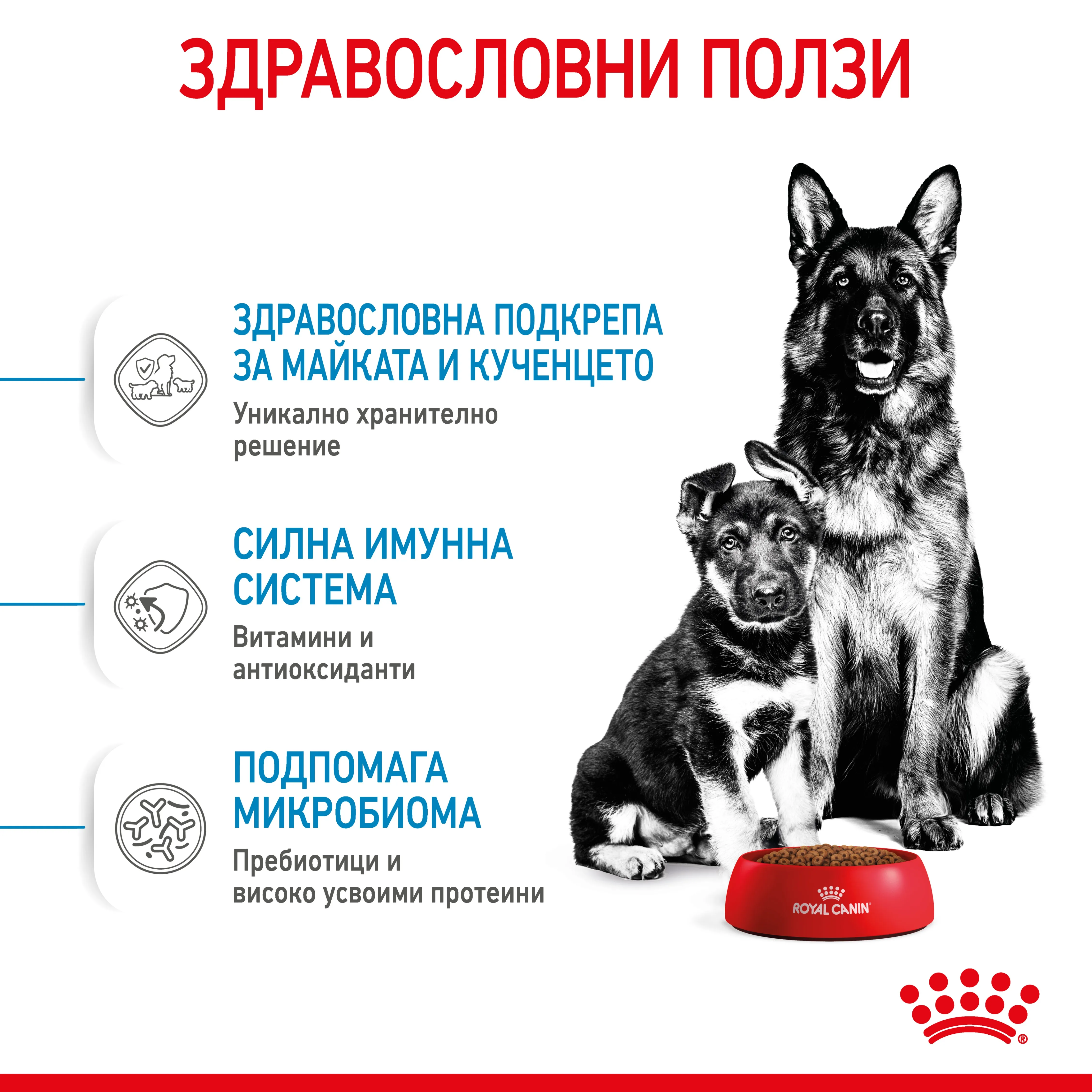 ROYAL CANIN® SHN MAXI STARTER MOTHER & BABYDOG 15кг - изображение 4