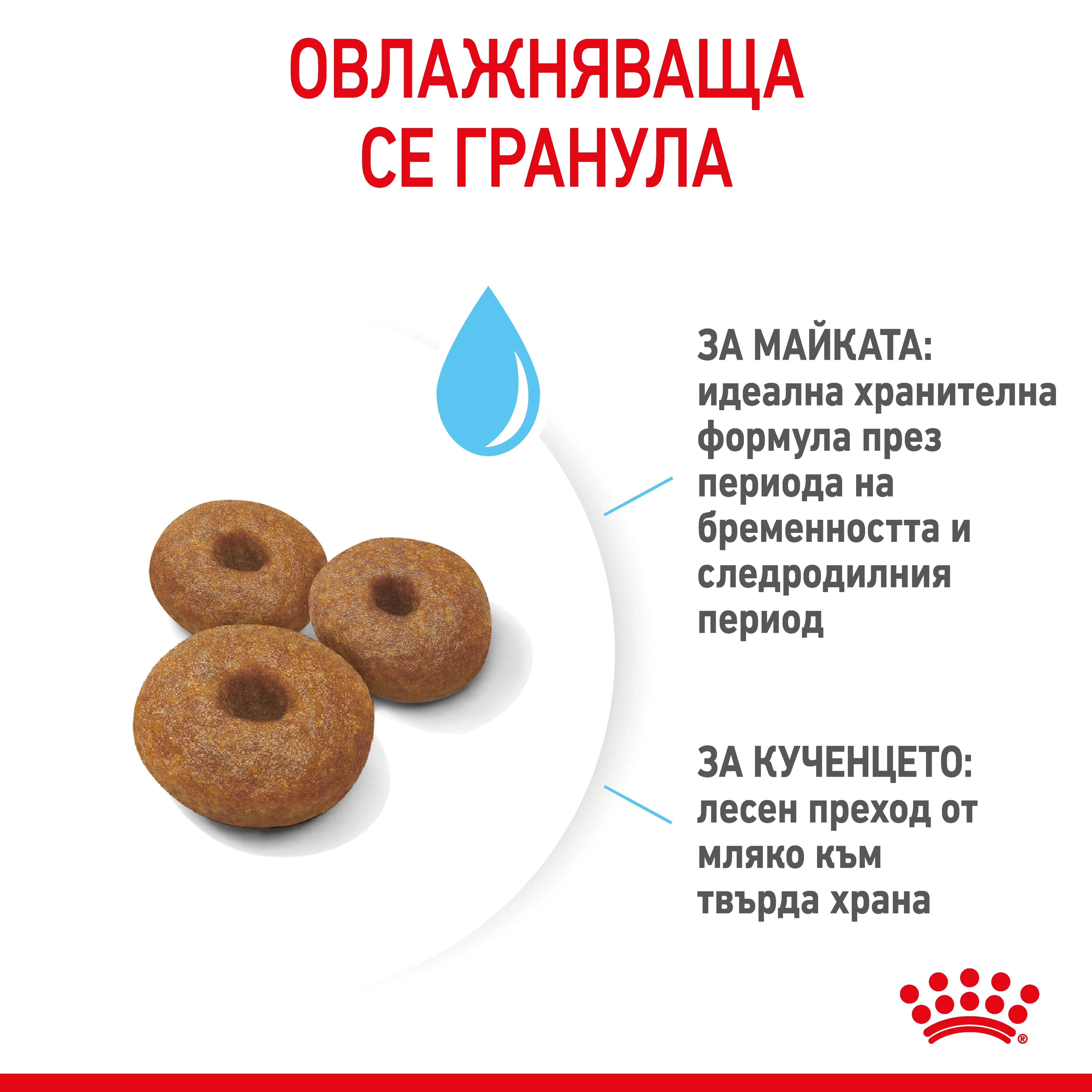 ROYAL CANIN® SHN MAXI STARTER MOTHER & BABYDOG 15кг - изображение 5