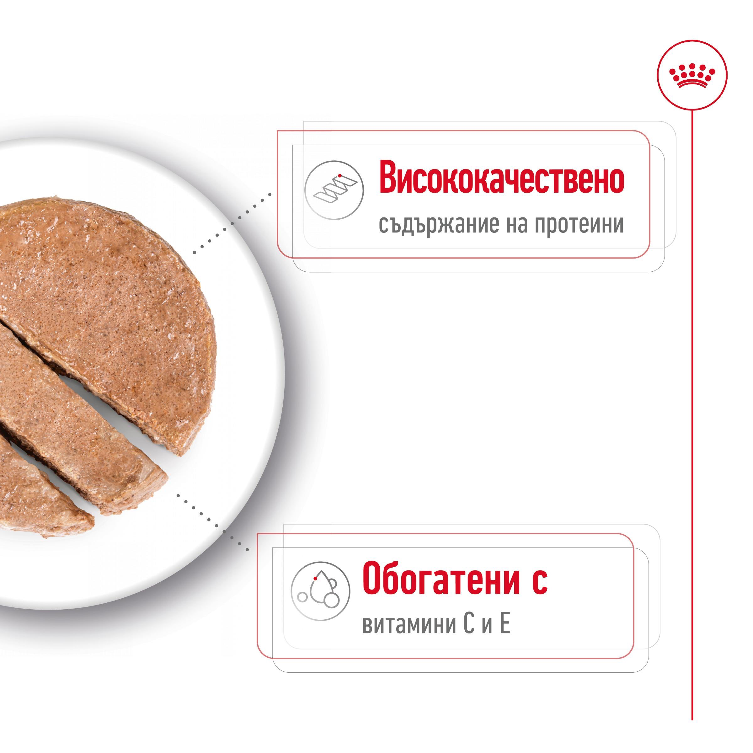 ROYAL CANIN® SHN MEDIUM ADULT paste 410g - изображение 3