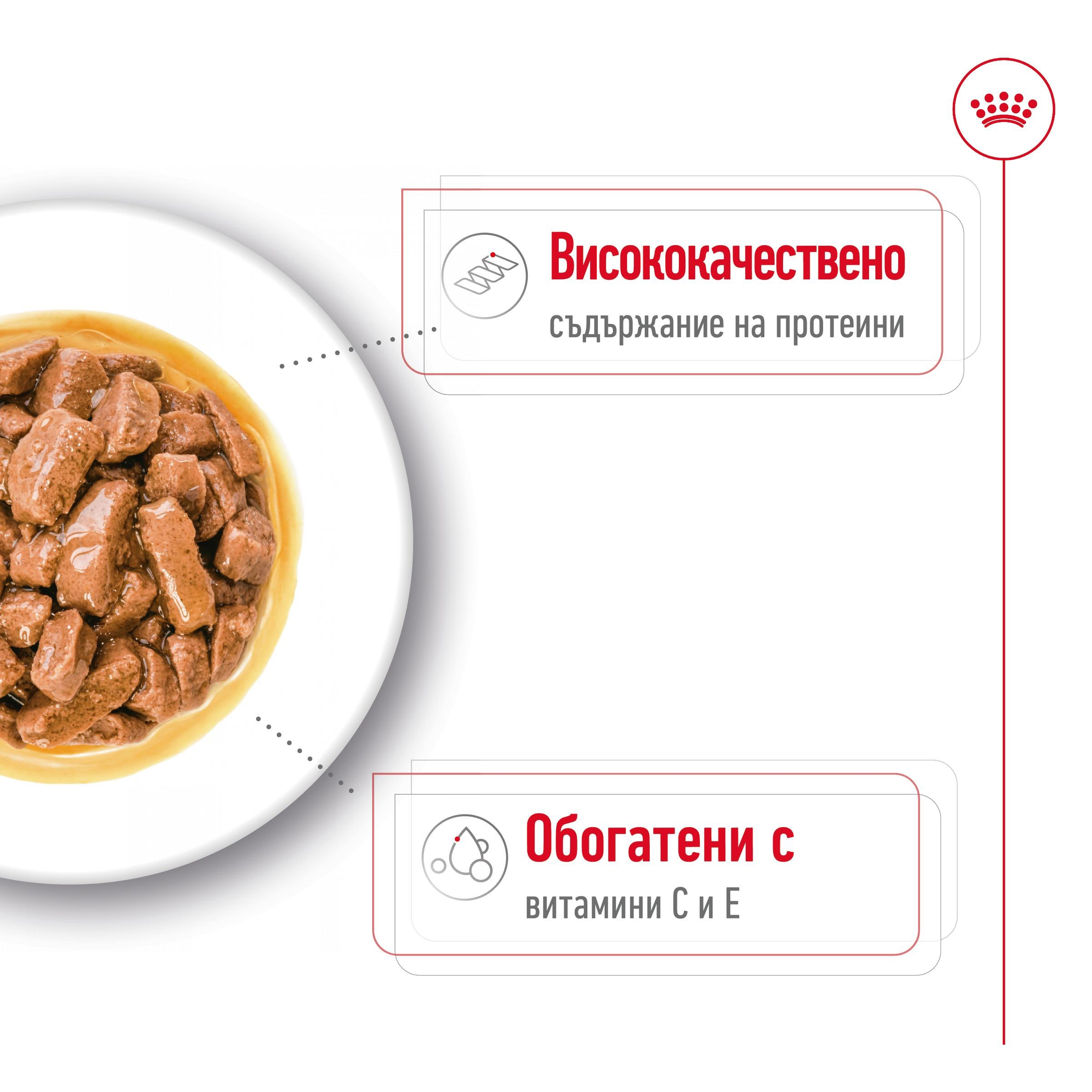 ROYAL CANIN® SHN MEDIUM ADULT 140g - изображение 5