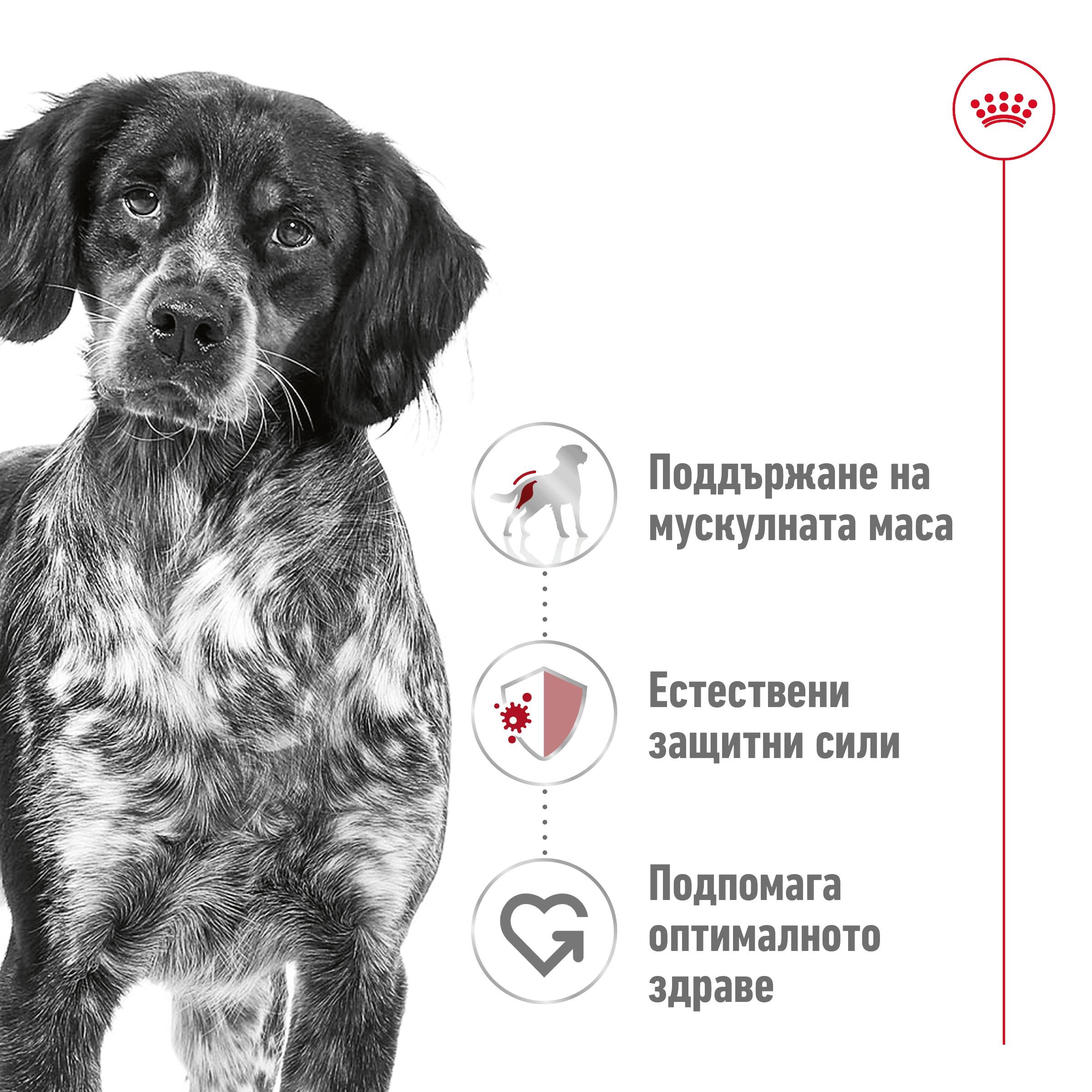 ROYAL CANIN® SHN ADULT MEDIUM 4kg - изображение 10