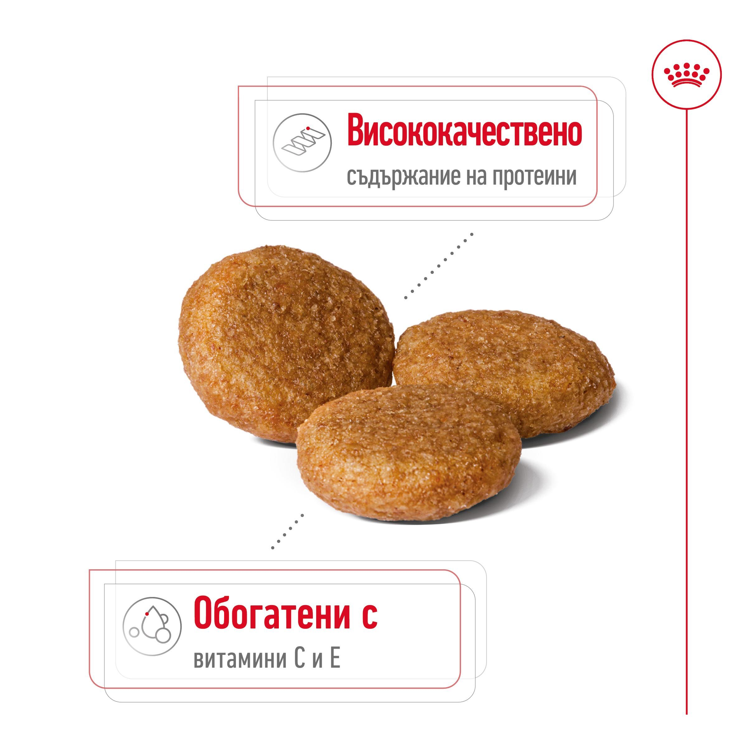 ROYAL CANIN® SHN ADULT MEDIUM 4kg - изображение 9