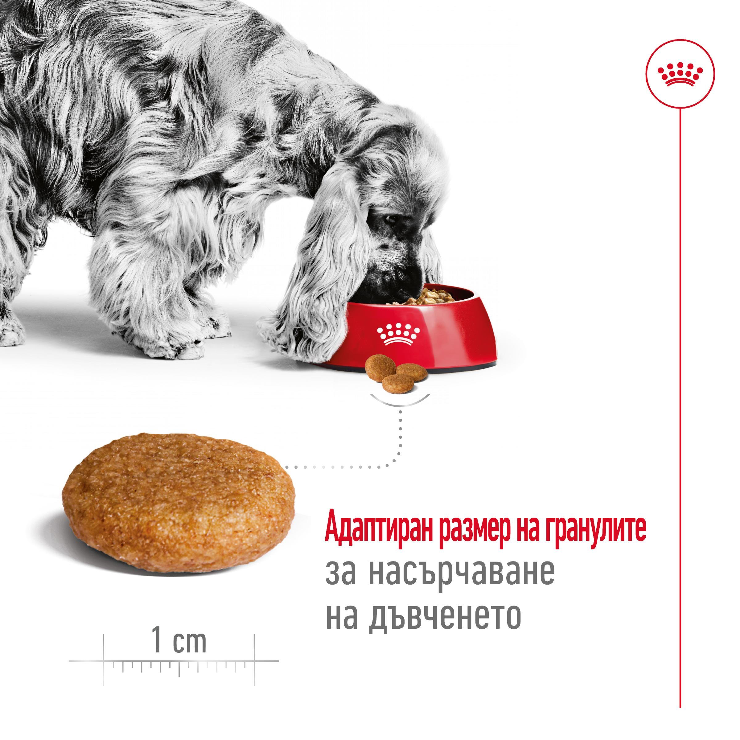 ROYAL CANIN® SHN ADULT MEDIUM 4kg - изображение 8
