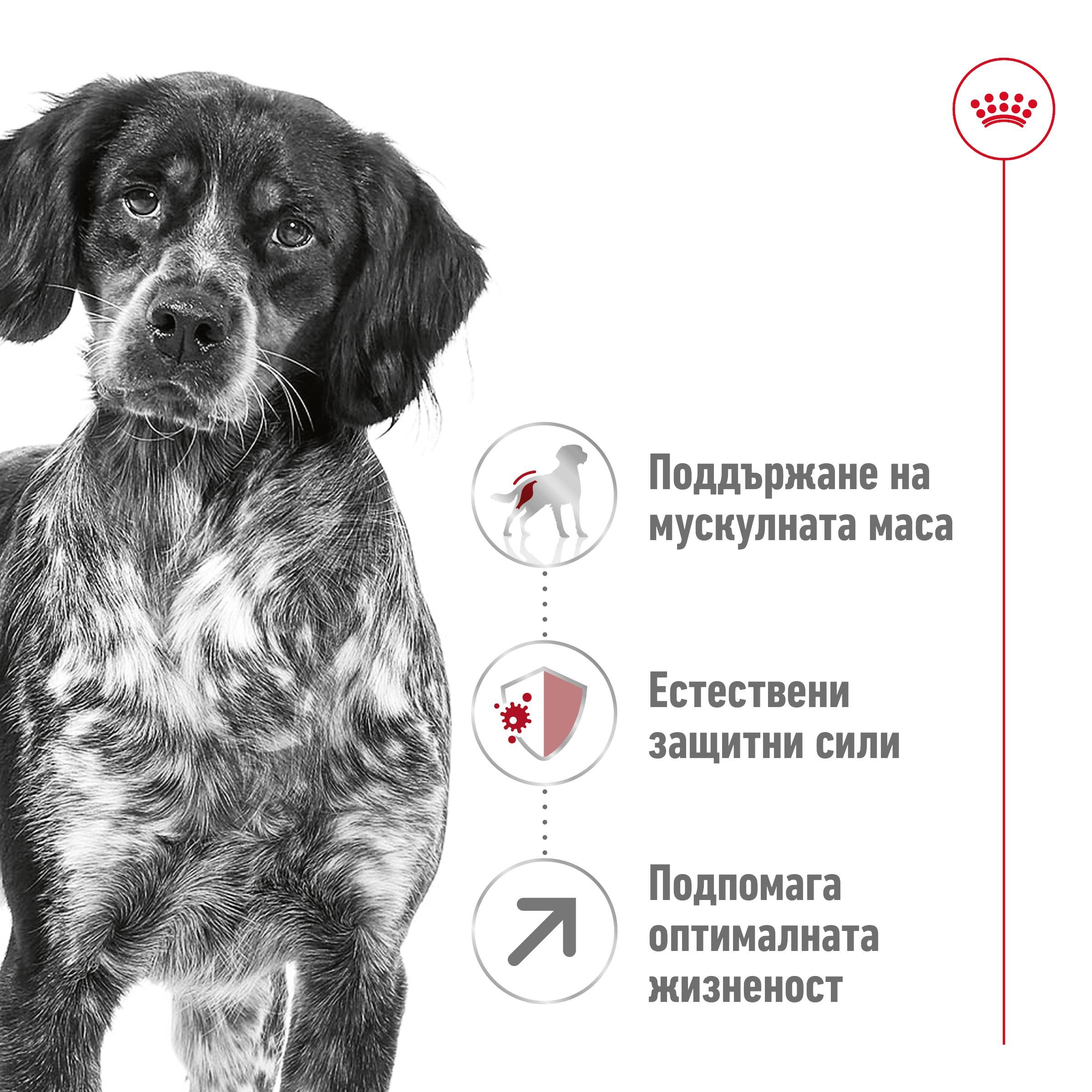 ROYAL CANIN® SHN MEDIUM ADULT 7+ 10kg - изображение 9