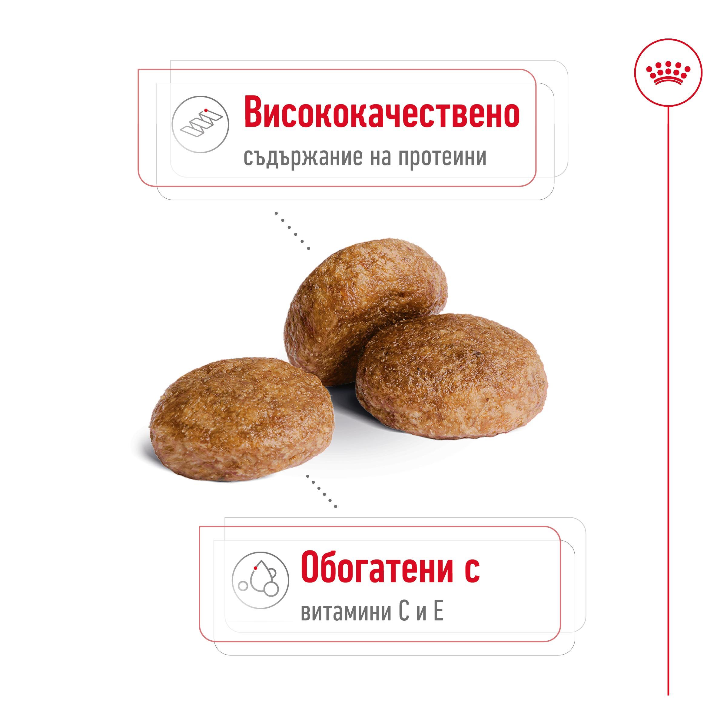 ROYAL CANIN® SHN MEDIUM ADULT 7+ 10kg - изображение 8