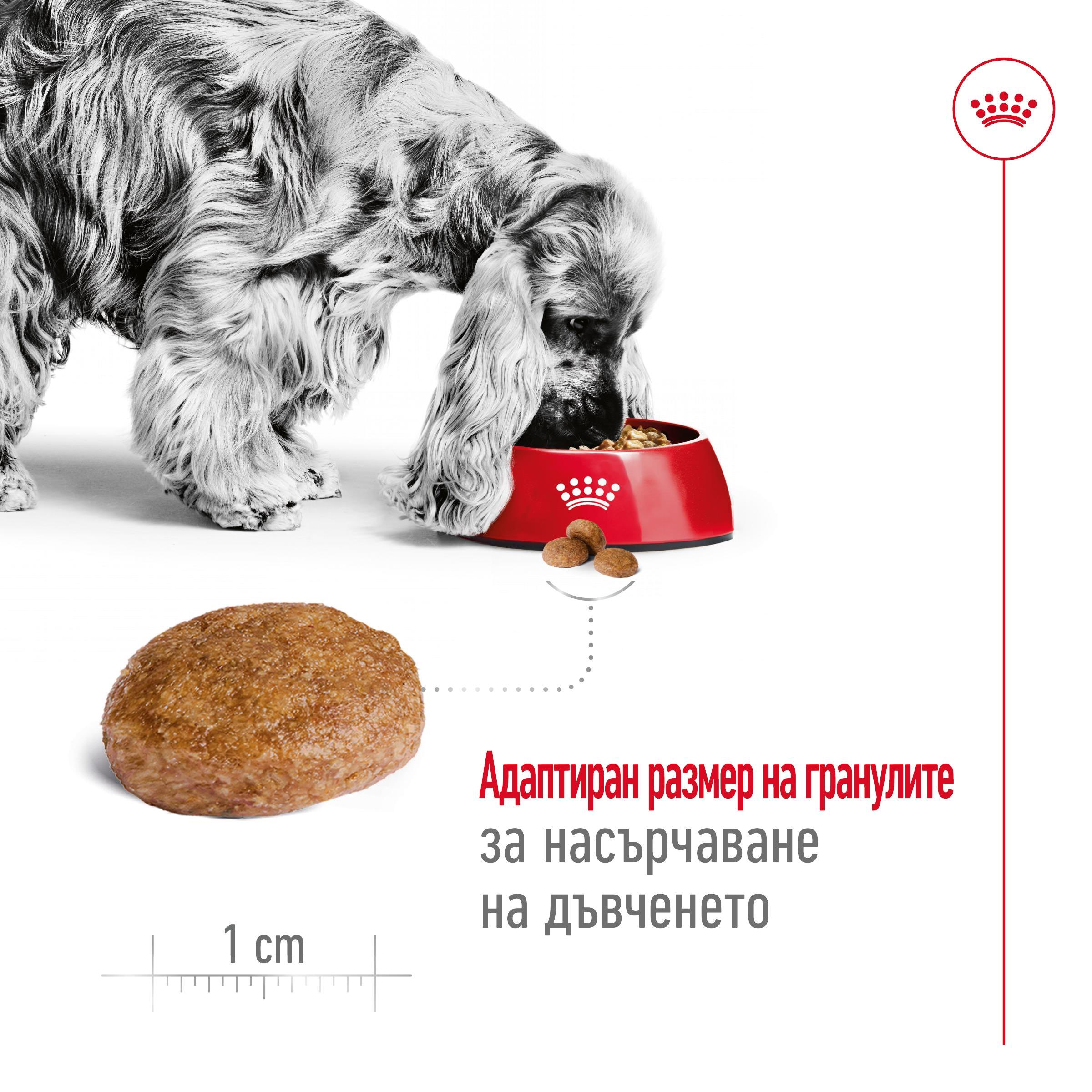ROYAL CANIN® SHN MEDIUM ADULT 7+ 10kg - изображение 7
