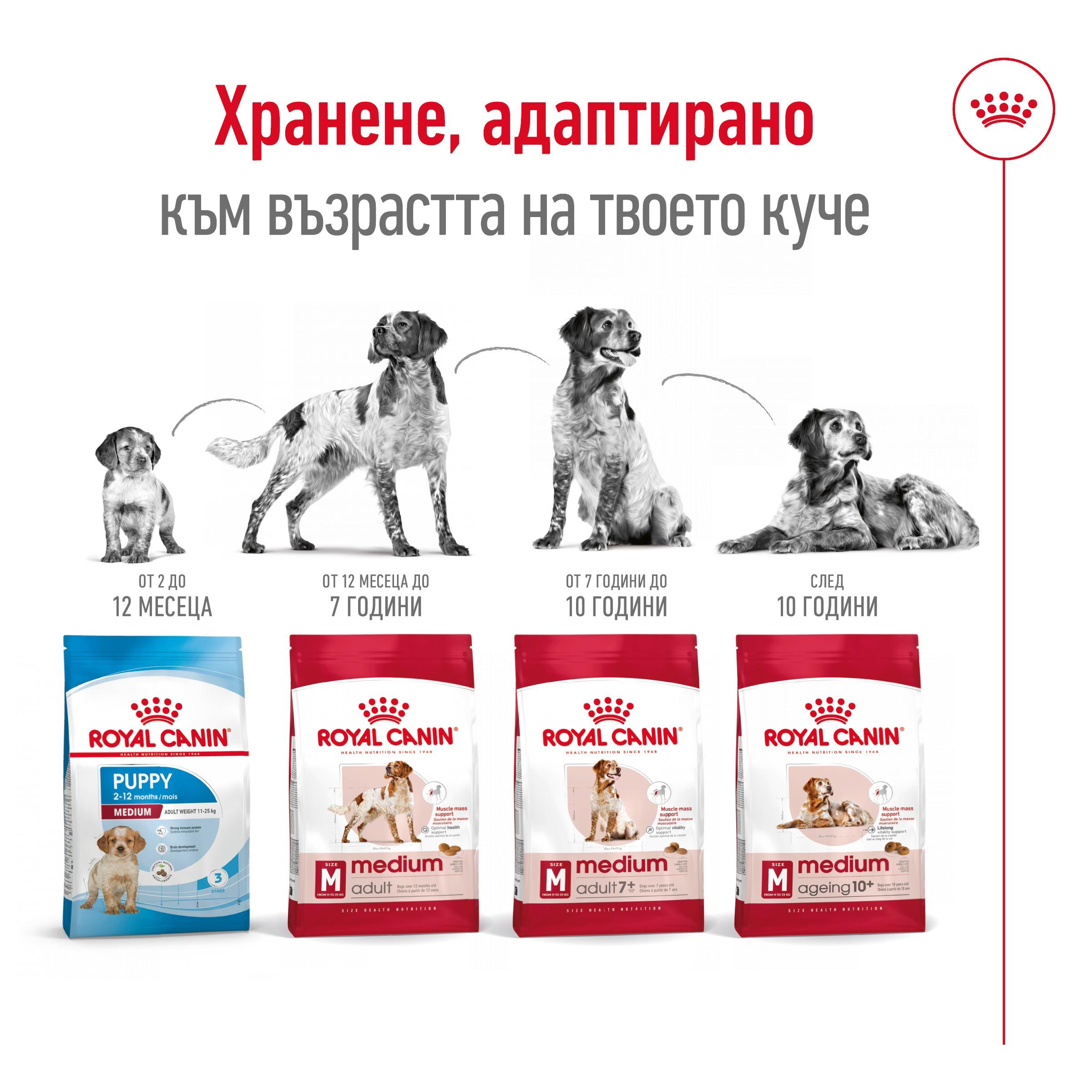 ROYAL CANIN® SHN MEDIUM ADULT 7+ 10kg - изображение 6