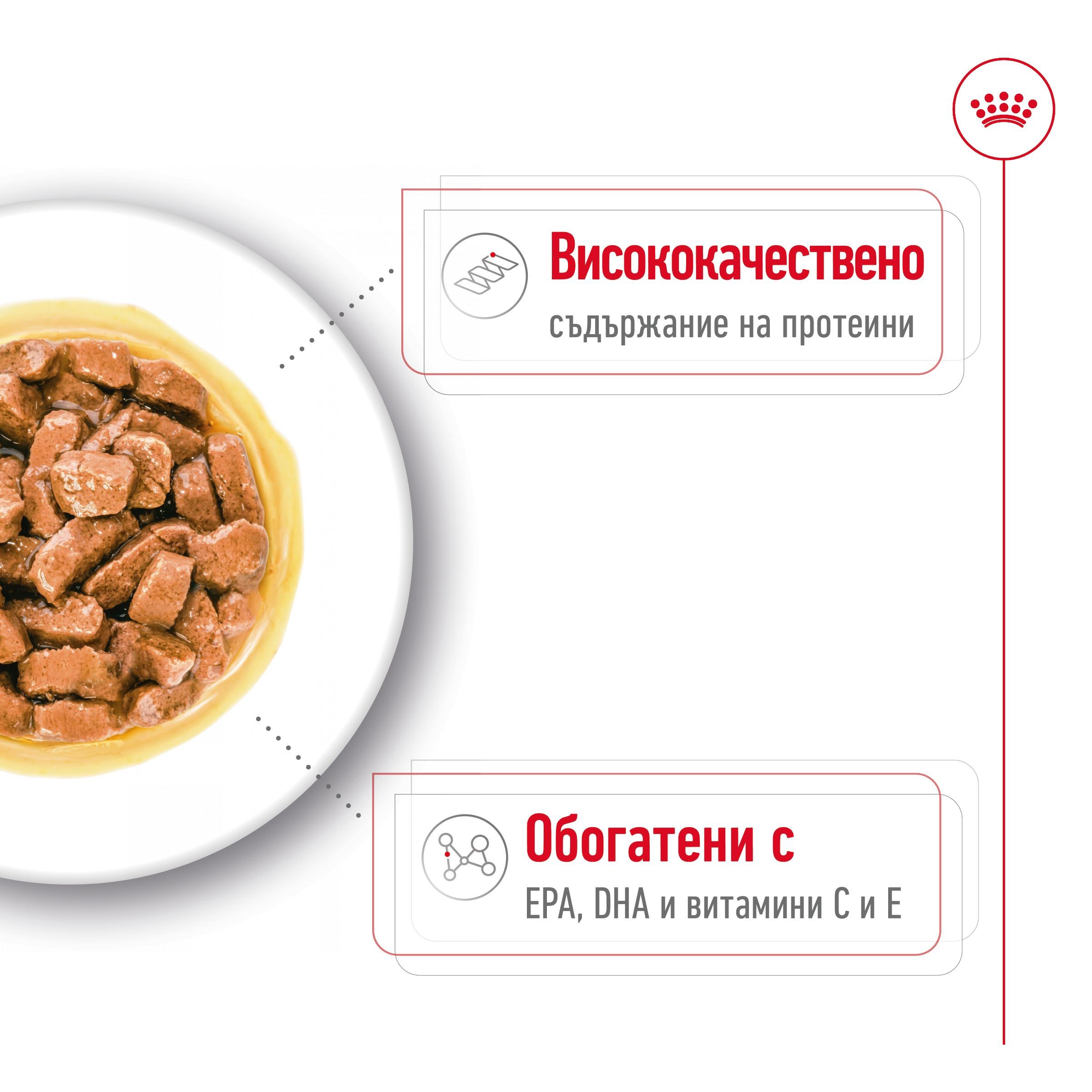 ROYAL CANIN® SHN MEDIUM AGEING snacks in a 140g bag - изображение 6