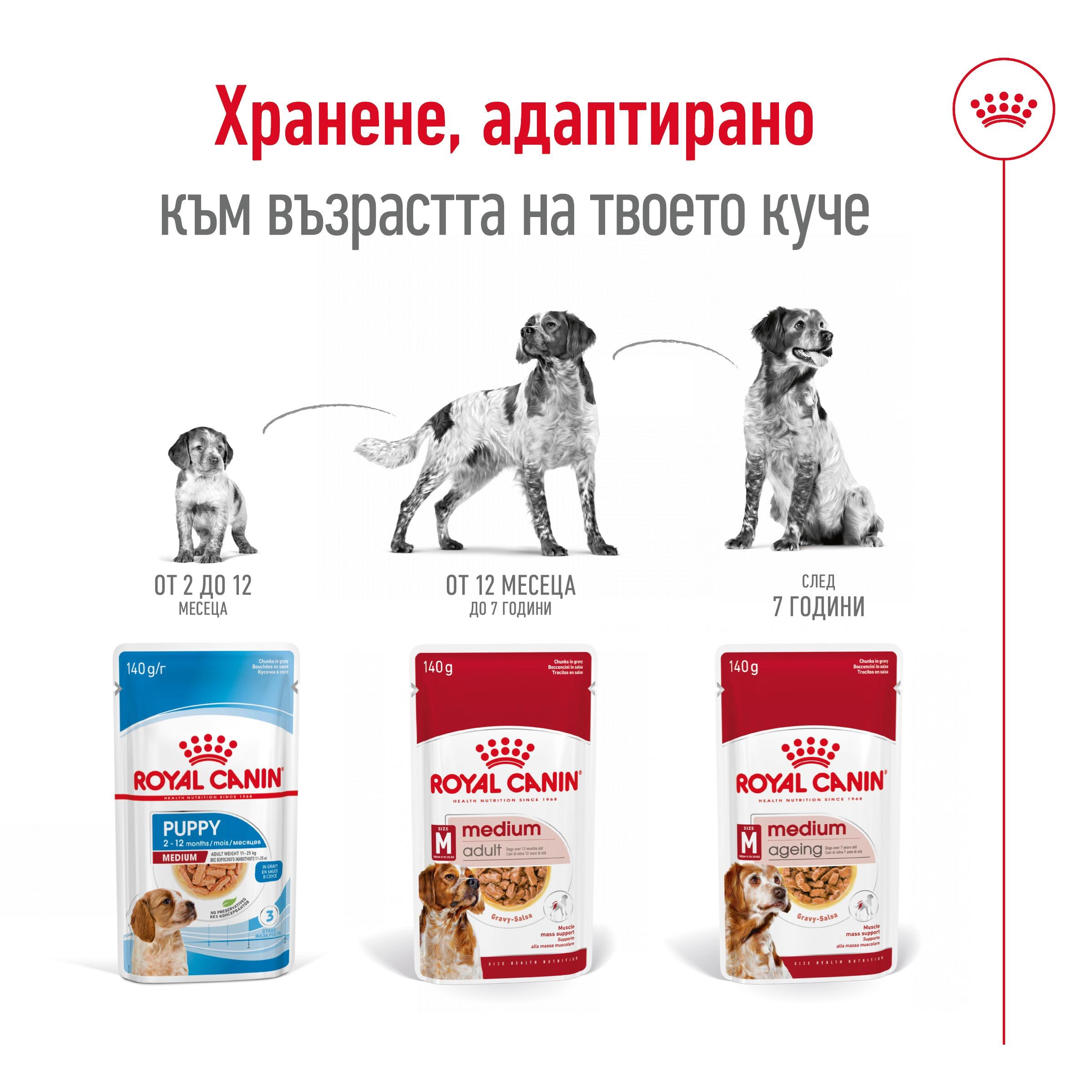 ROYAL CANIN® SHN MEDIUM AGEING snacks in a 140g bag - изображение 5