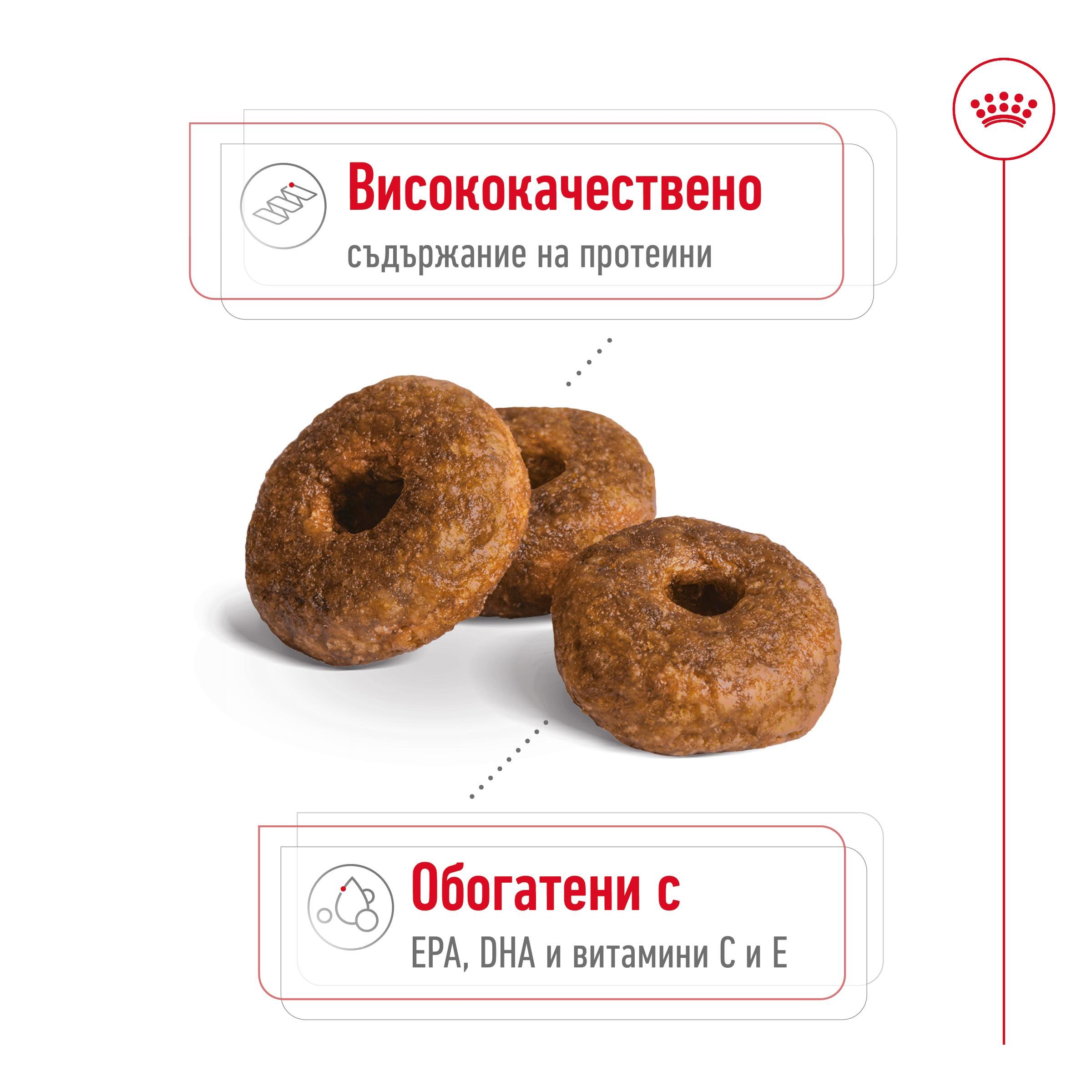 ROYAL CANIN® SHN MEDIUM AGEING 10+    15кг - изображение 9