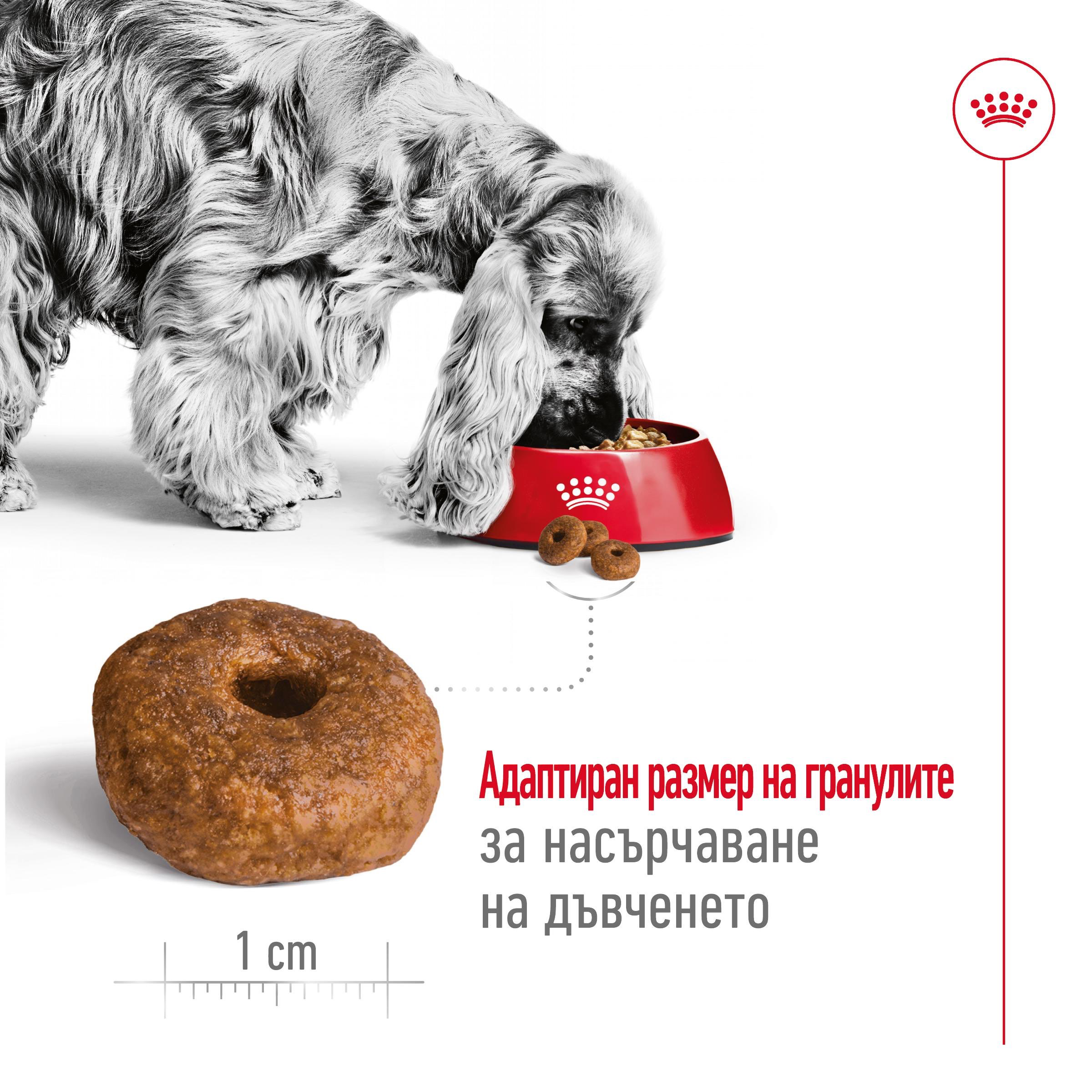 ROYAL CANIN® SHN MEDIUM AGEING 10+    15кг - изображение 8