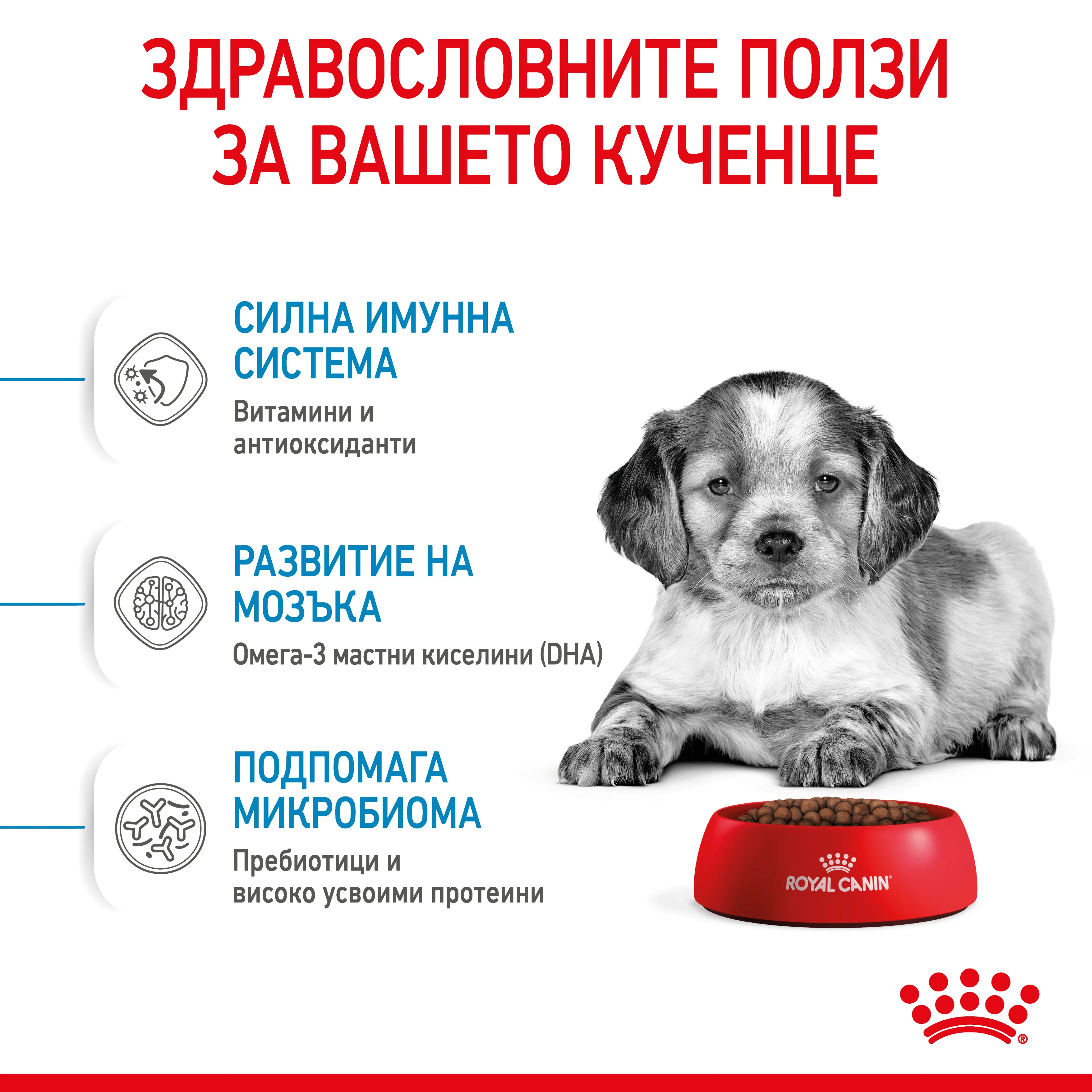 ROYAL CANIN® SHN MEDIUM PUPPY 15кг - изображение 3