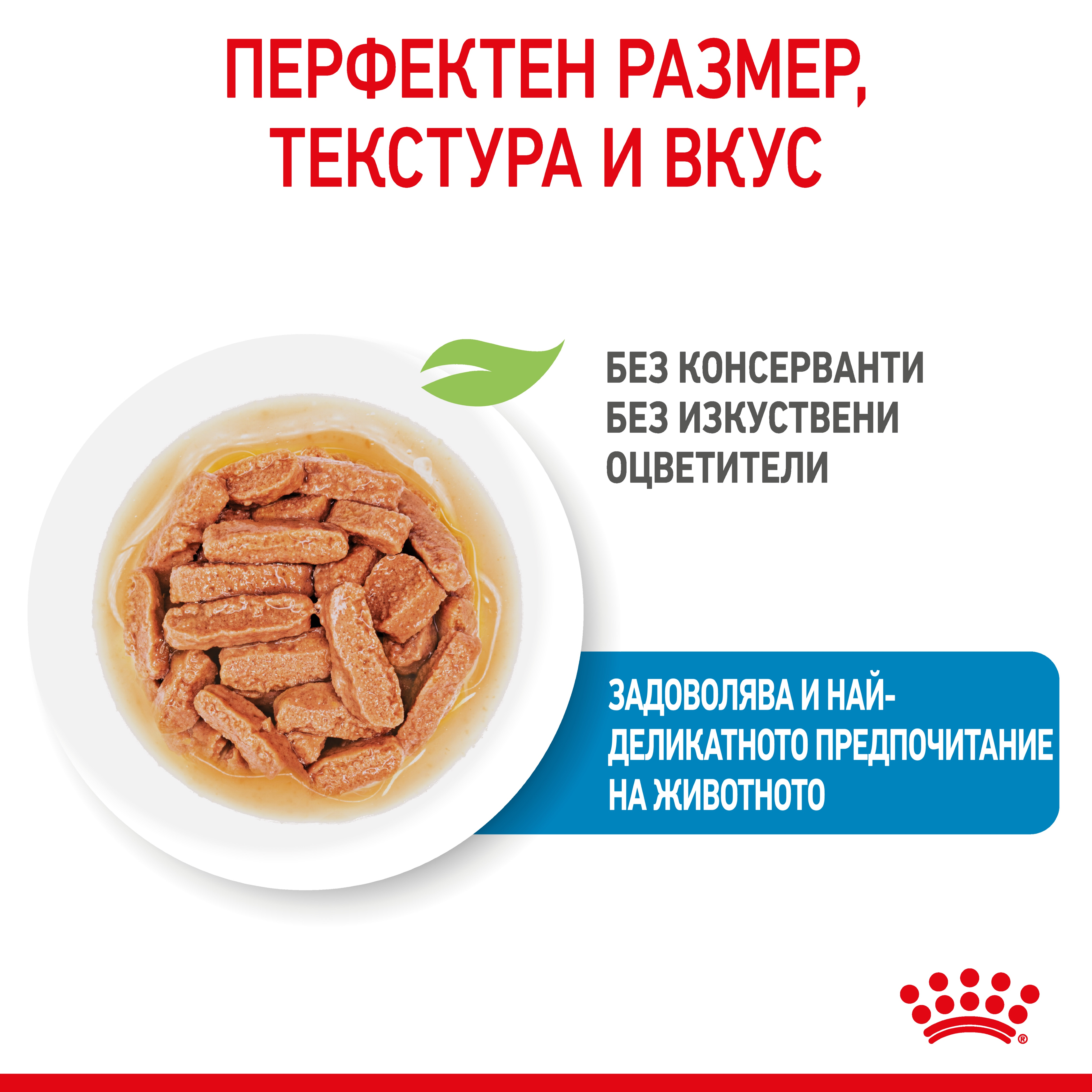 ROYAL CANIN® SHN MEDIUM PUPPY kibbles in a 140g bag - изображение 8