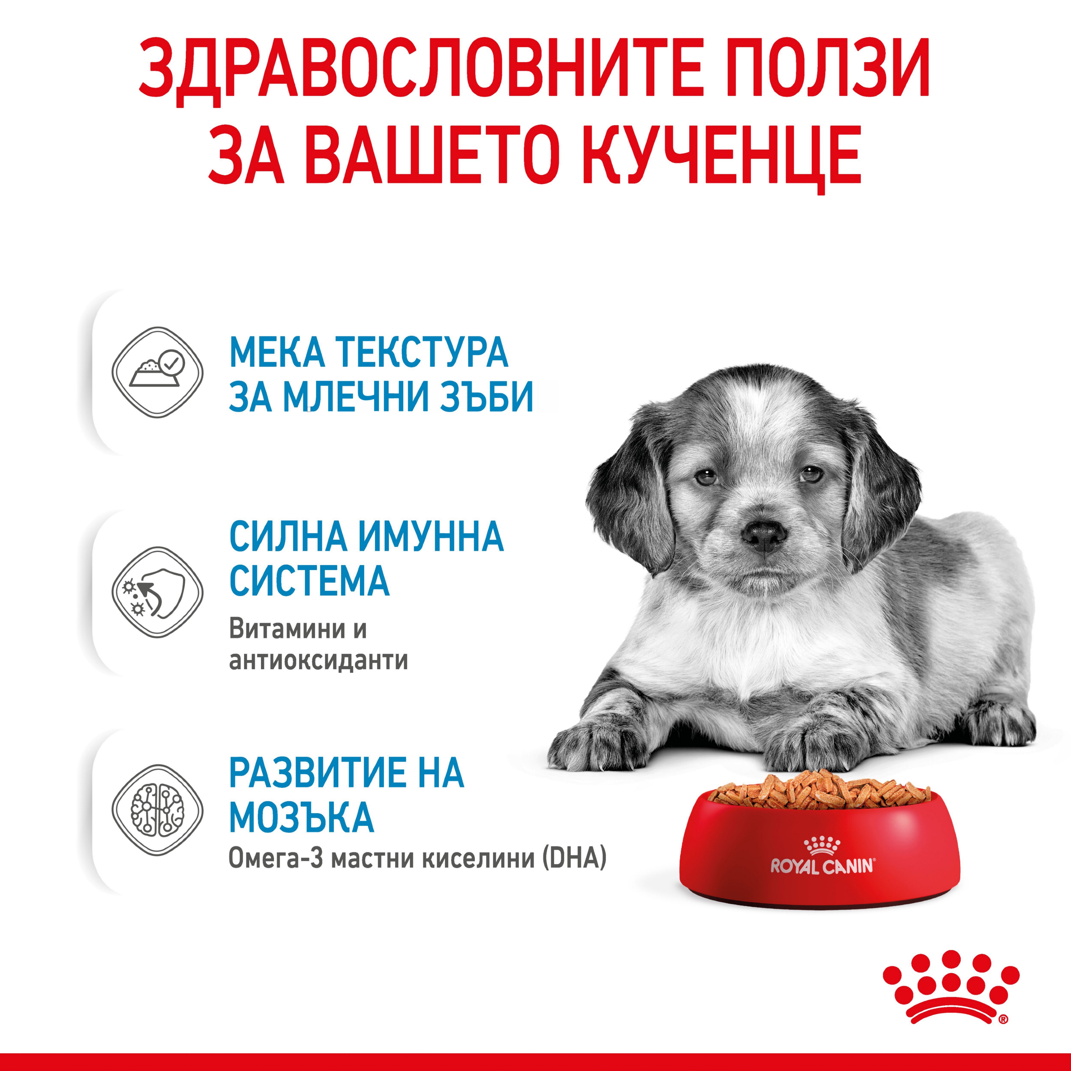 ROYAL CANIN® SHN MEDIUM PUPPY kibbles in a 140g bag - изображение 7