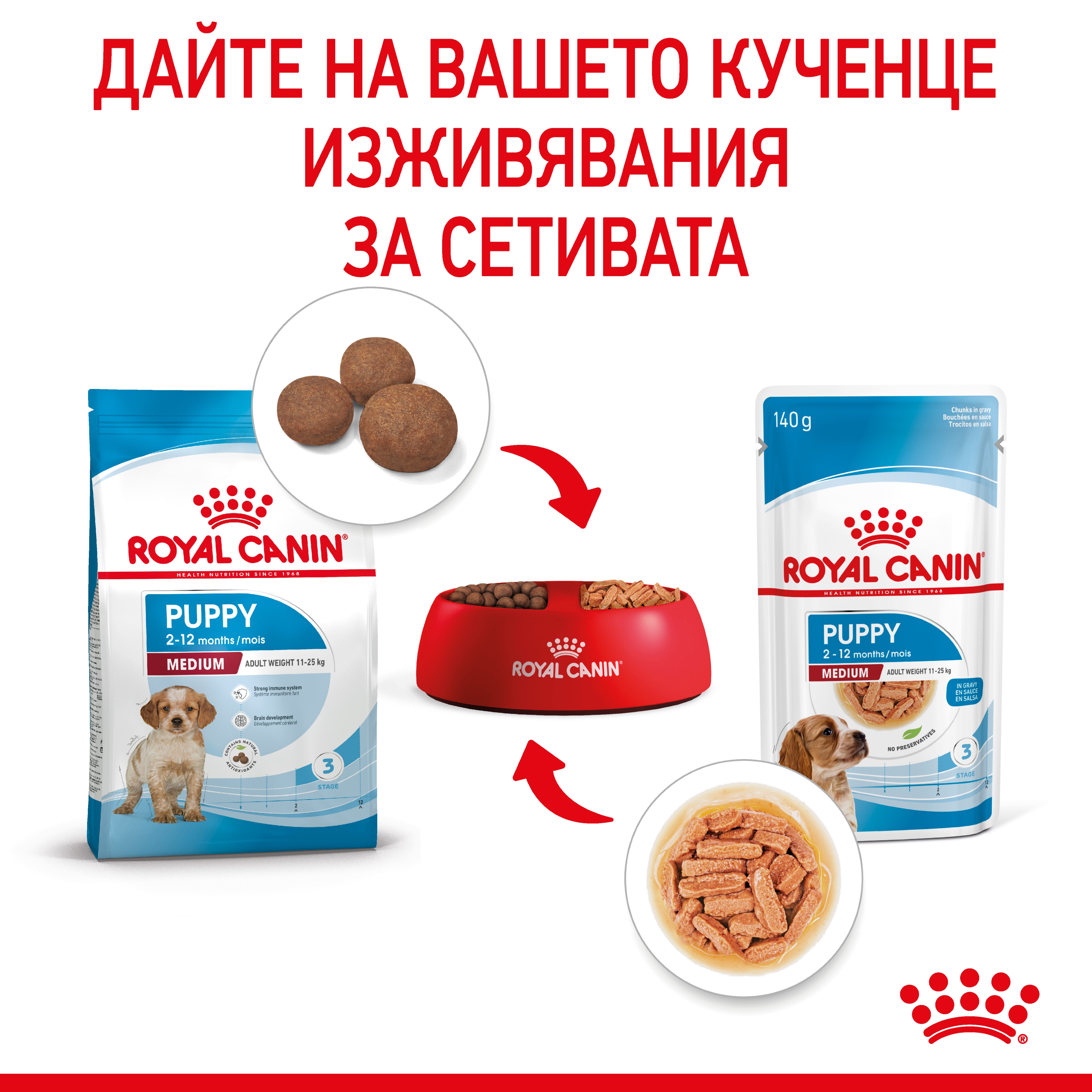 ROYAL CANIN® SHN MEDIUM PUPPY kibbles in a 140g bag - изображение 6