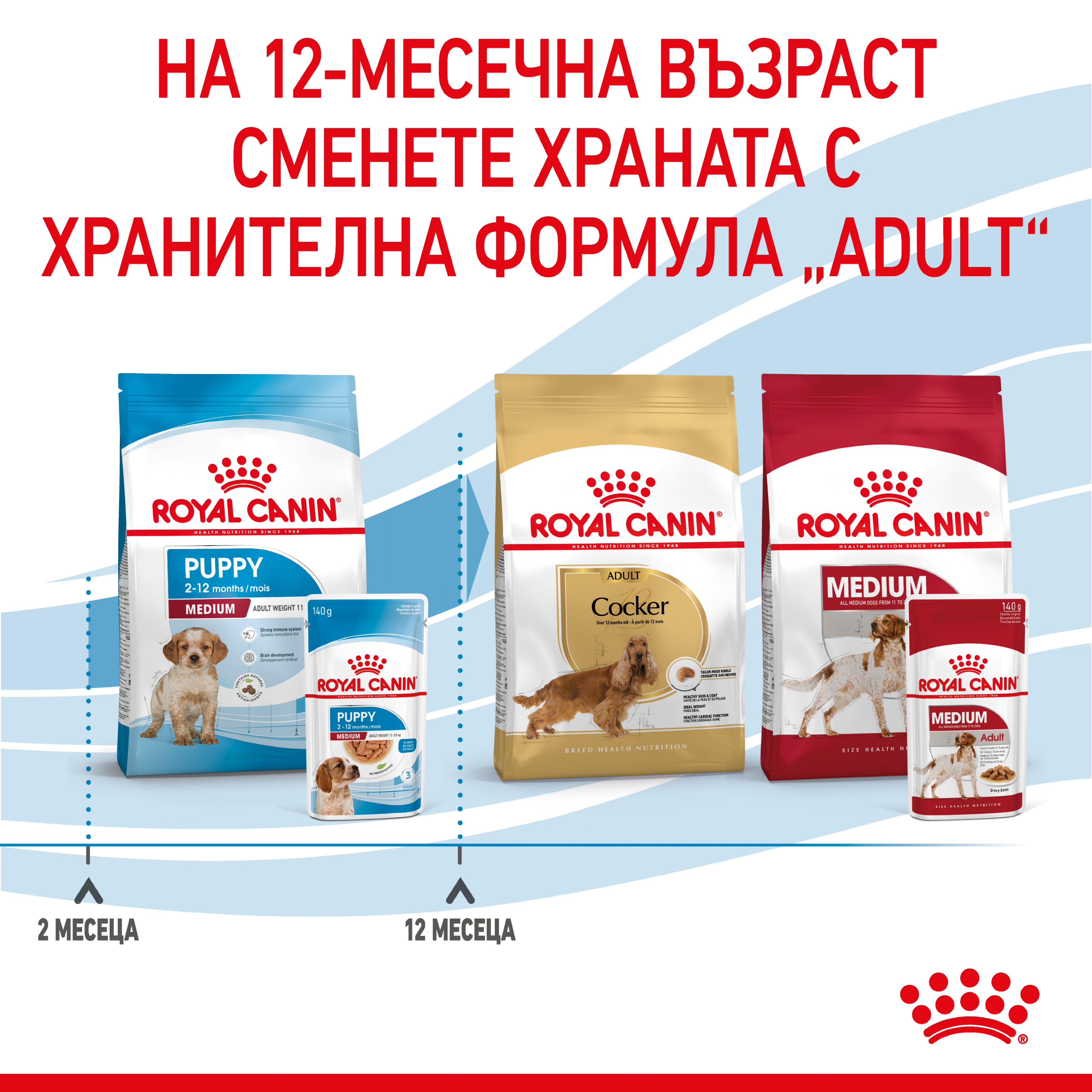 ROYAL CANIN® SHN MEDIUM PUPPY kibbles in a 140g bag - изображение 4