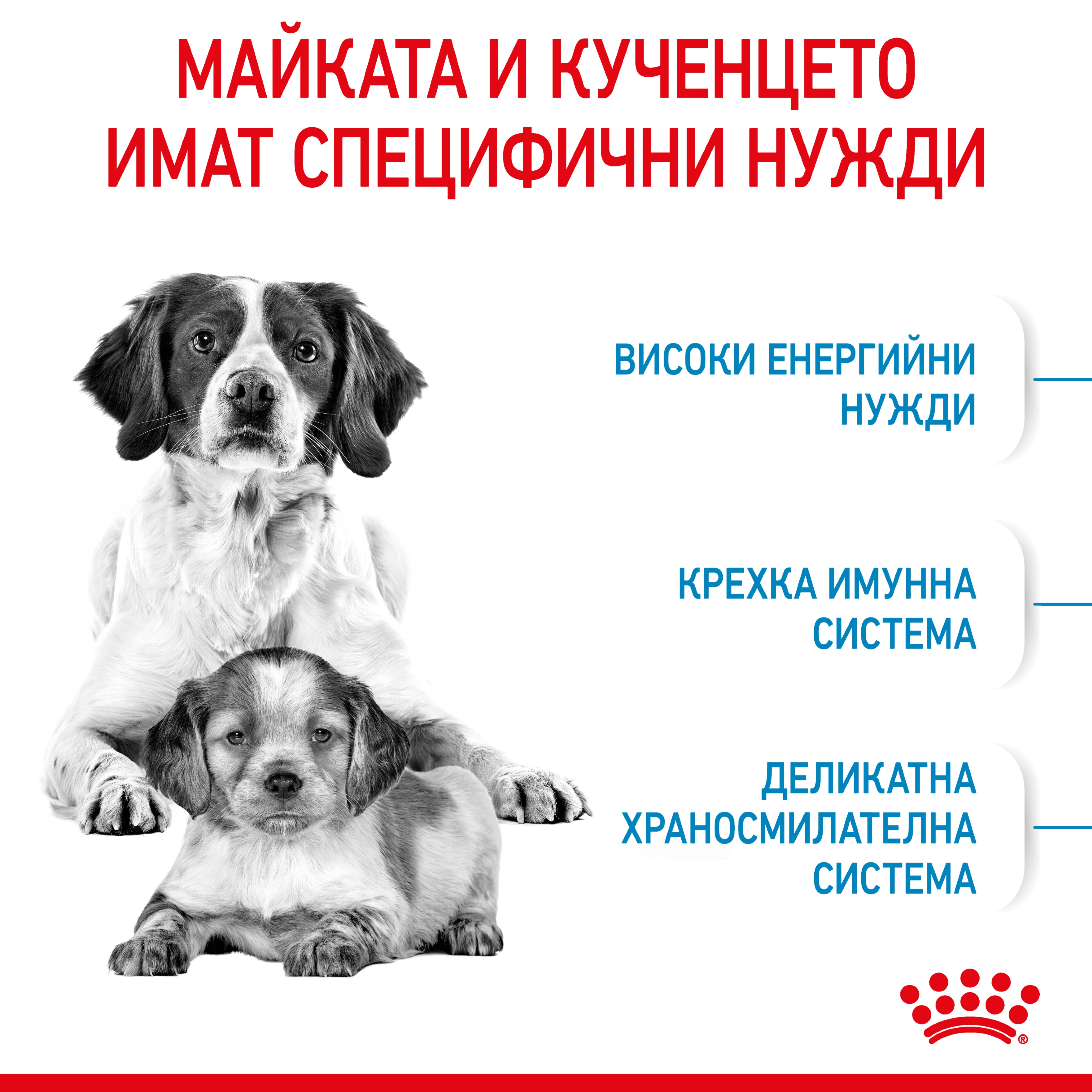 ROYAL CANIN® SHN MEDIUM STARTER 15кг - изображение 7