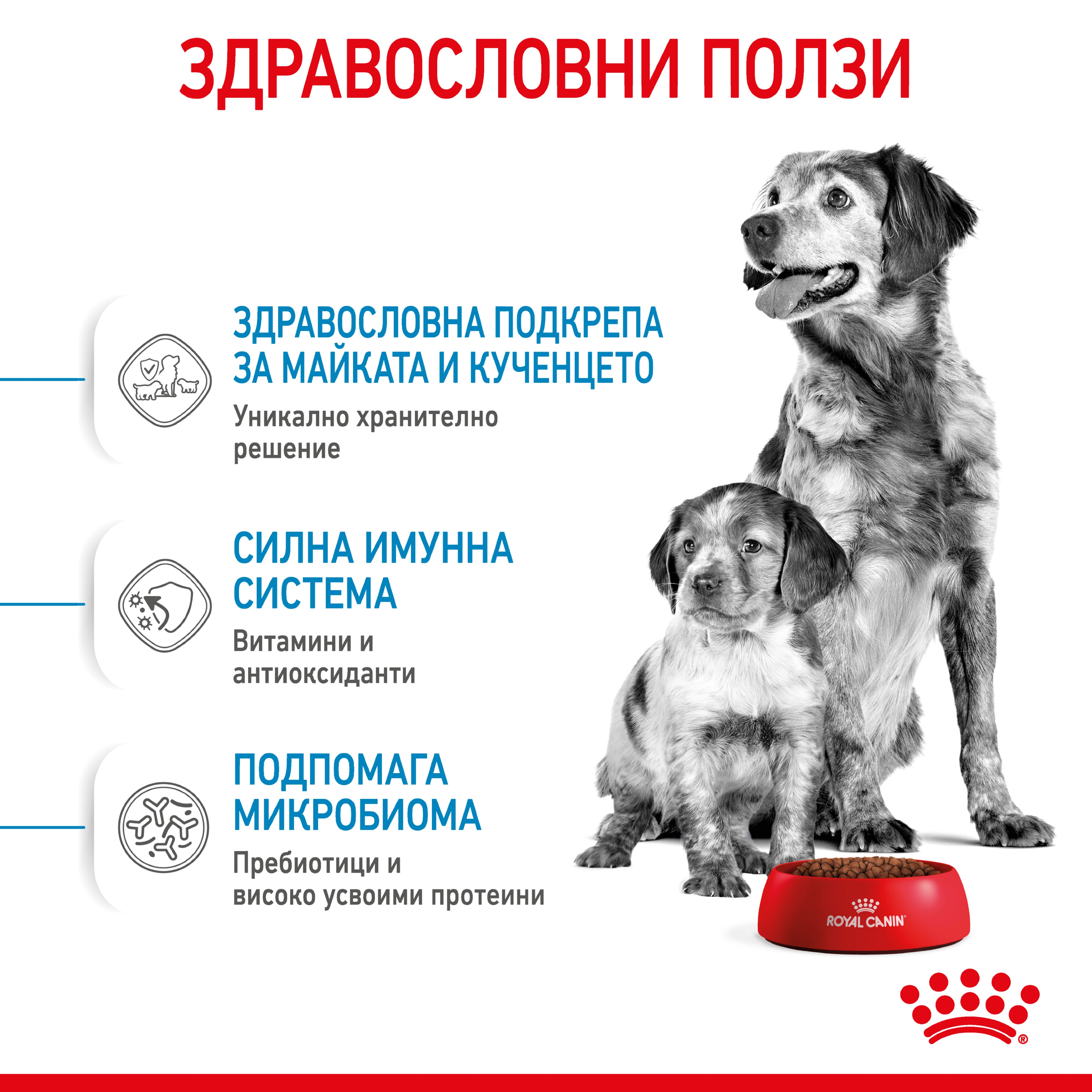 ROYAL CANIN® SHN MEDIUM STARTER 15кг - изображение 6