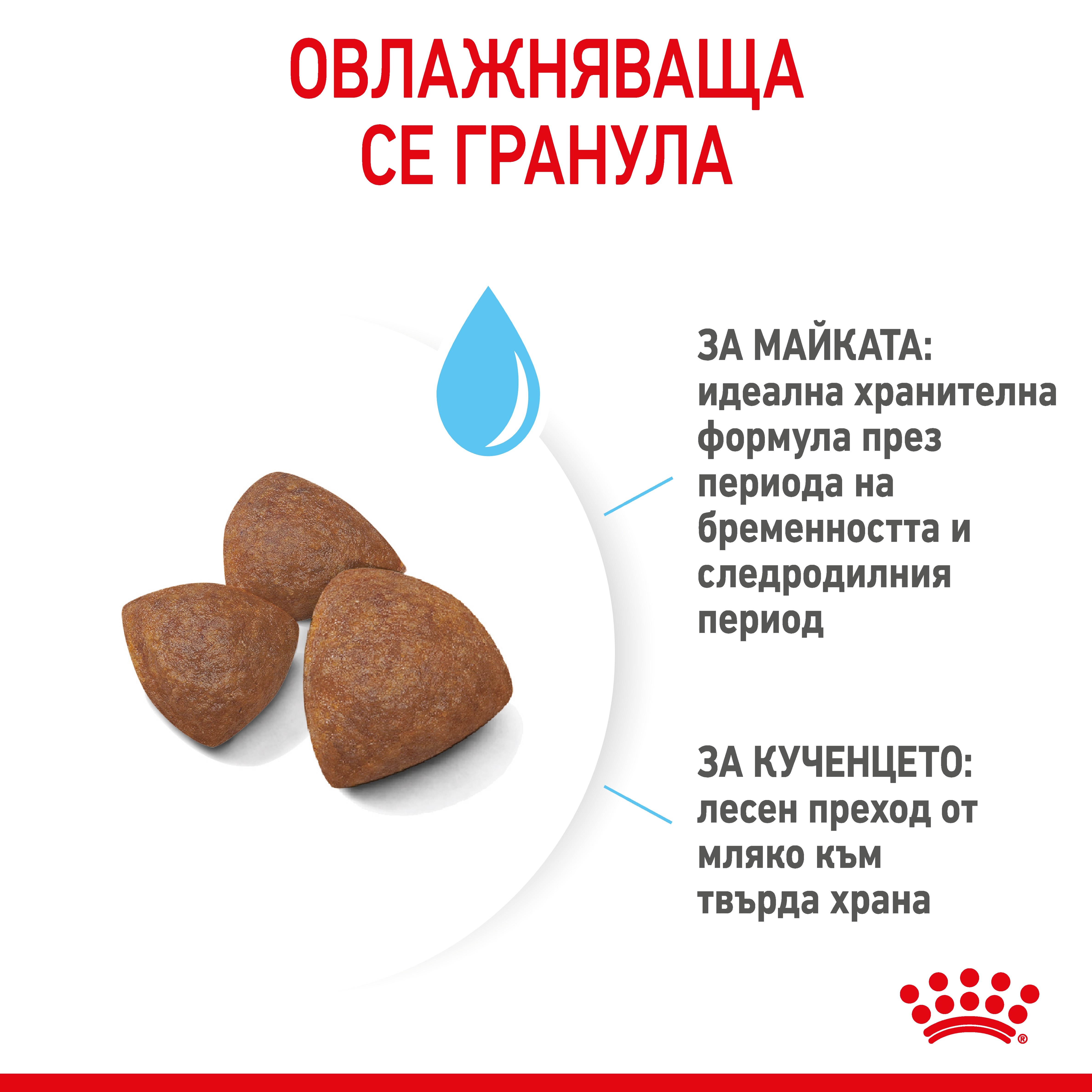 ROYAL CANIN® SHN MEDIUM STARTER 15кг - изображение 5