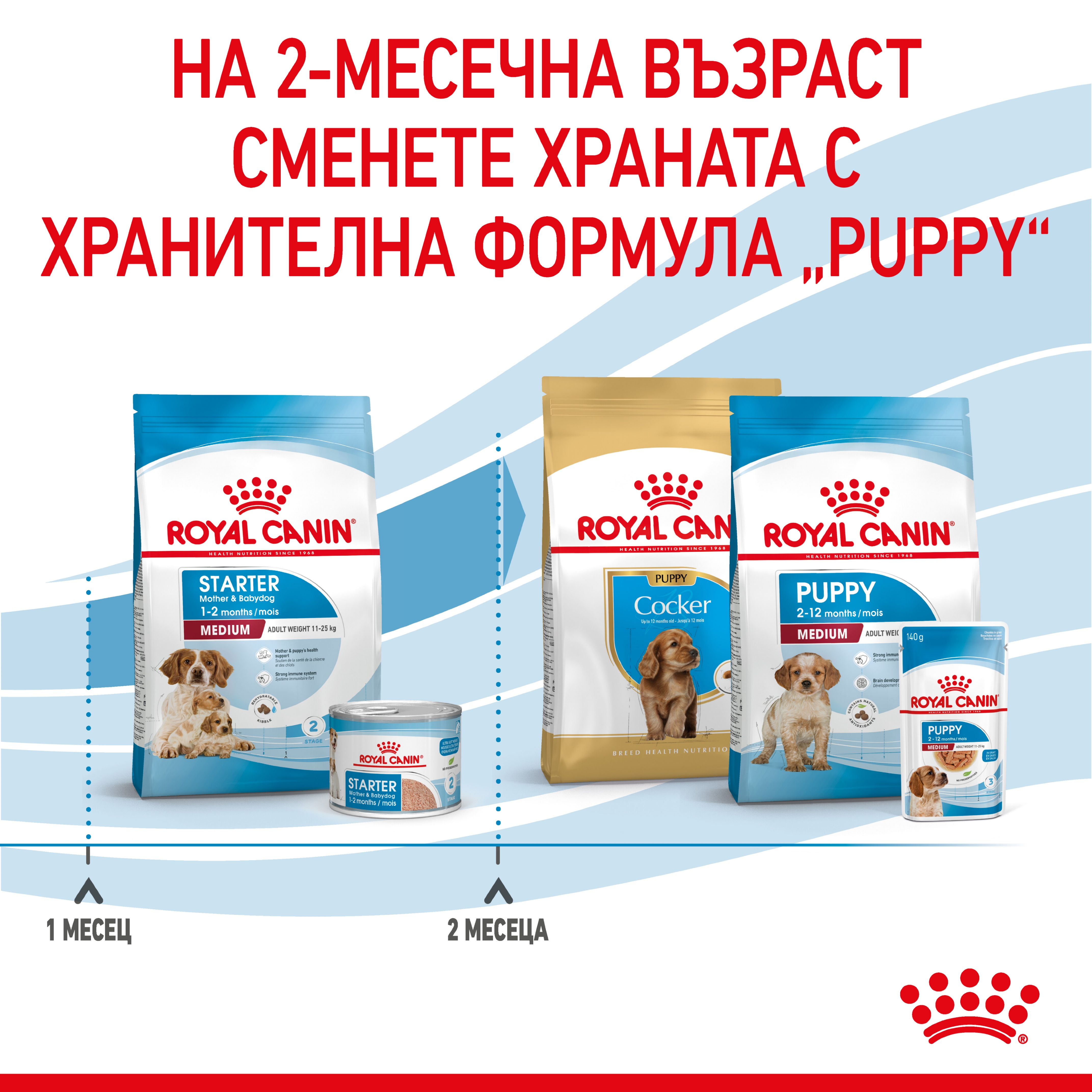 ROYAL CANIN® SHN MEDIUM STARTER 15кг - изображение 4
