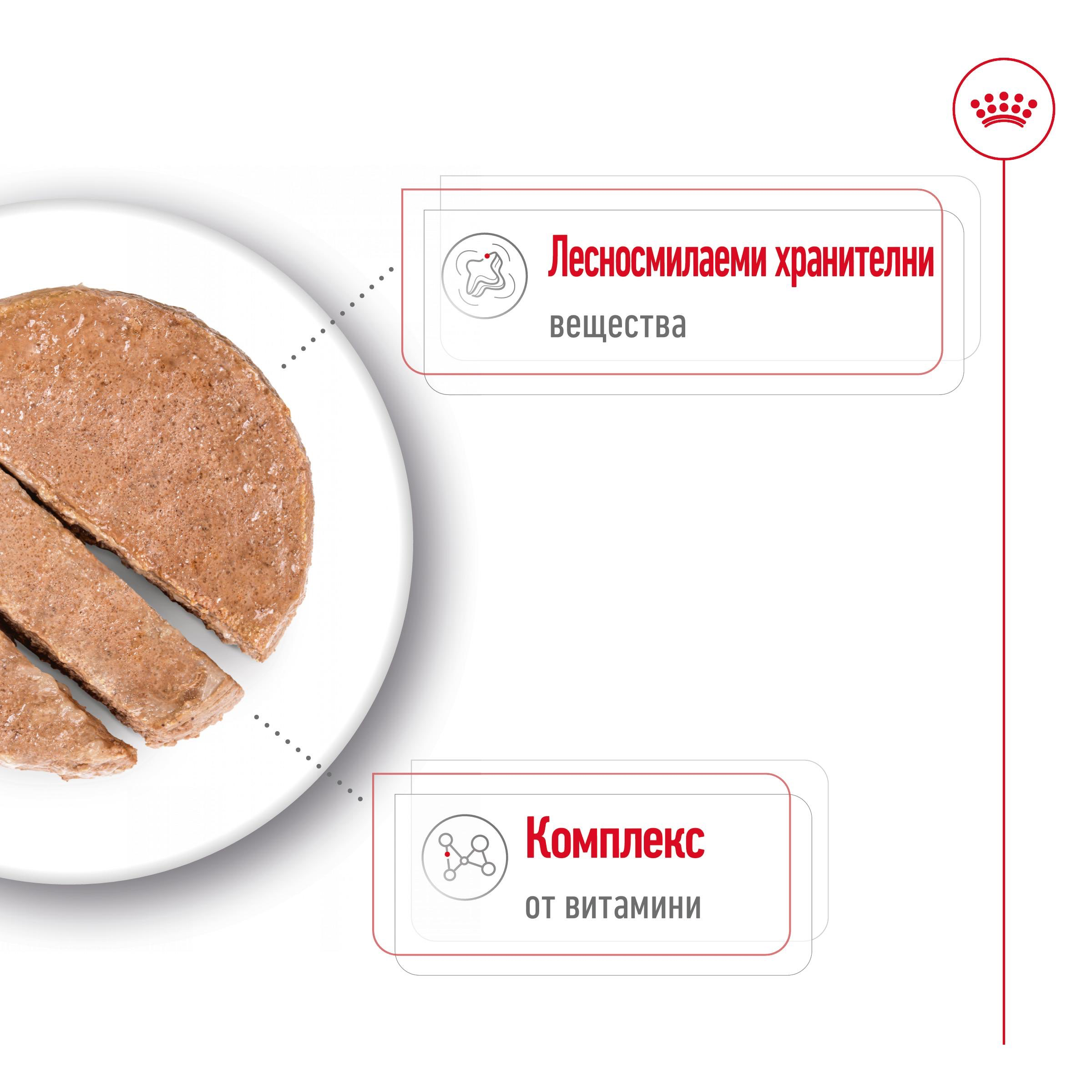 ROYAL CANIN® SHN MINI ADULT paste 195g - изображение 3