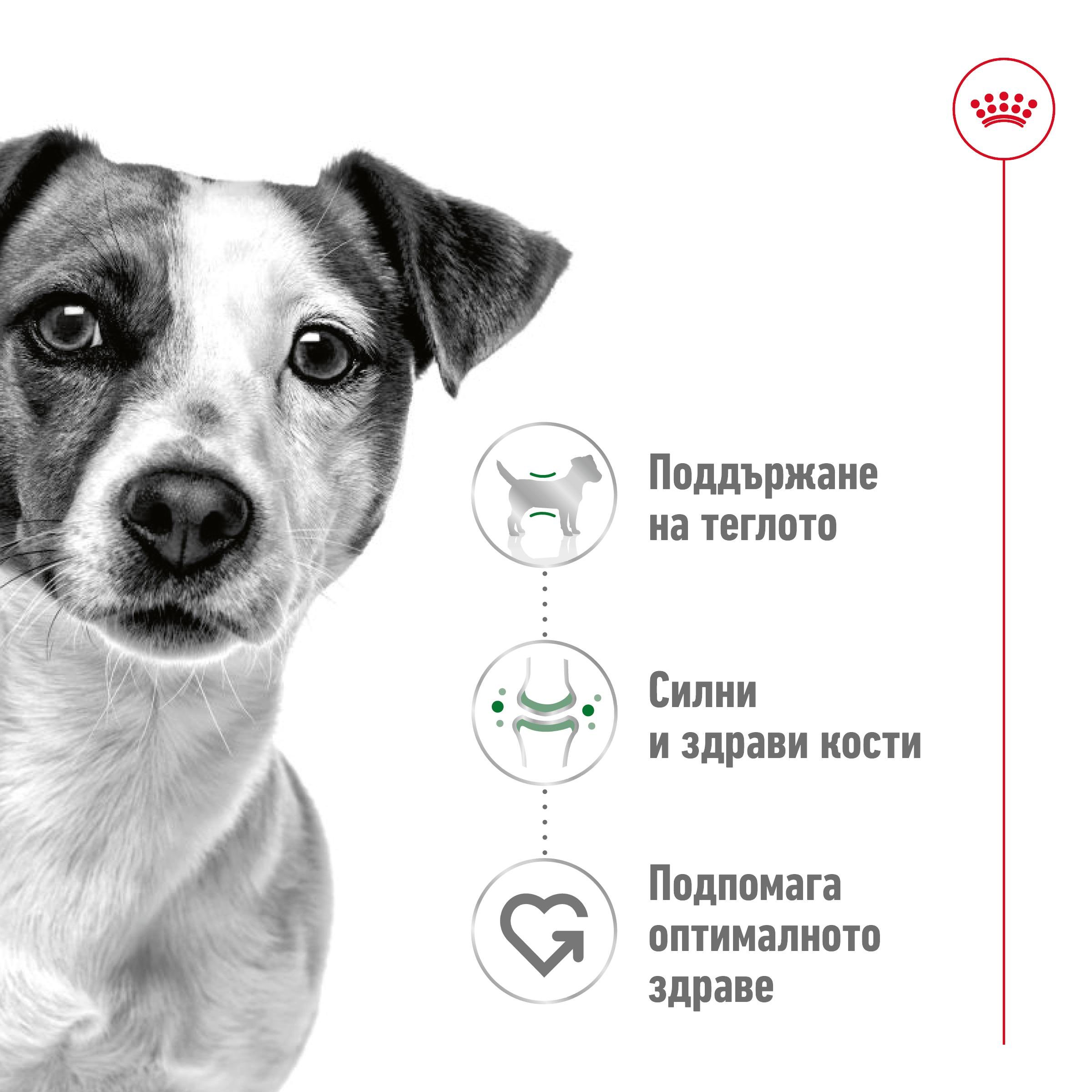 ROYAL CANIN® SHN MINI ADULT 2 kg - изображение 10